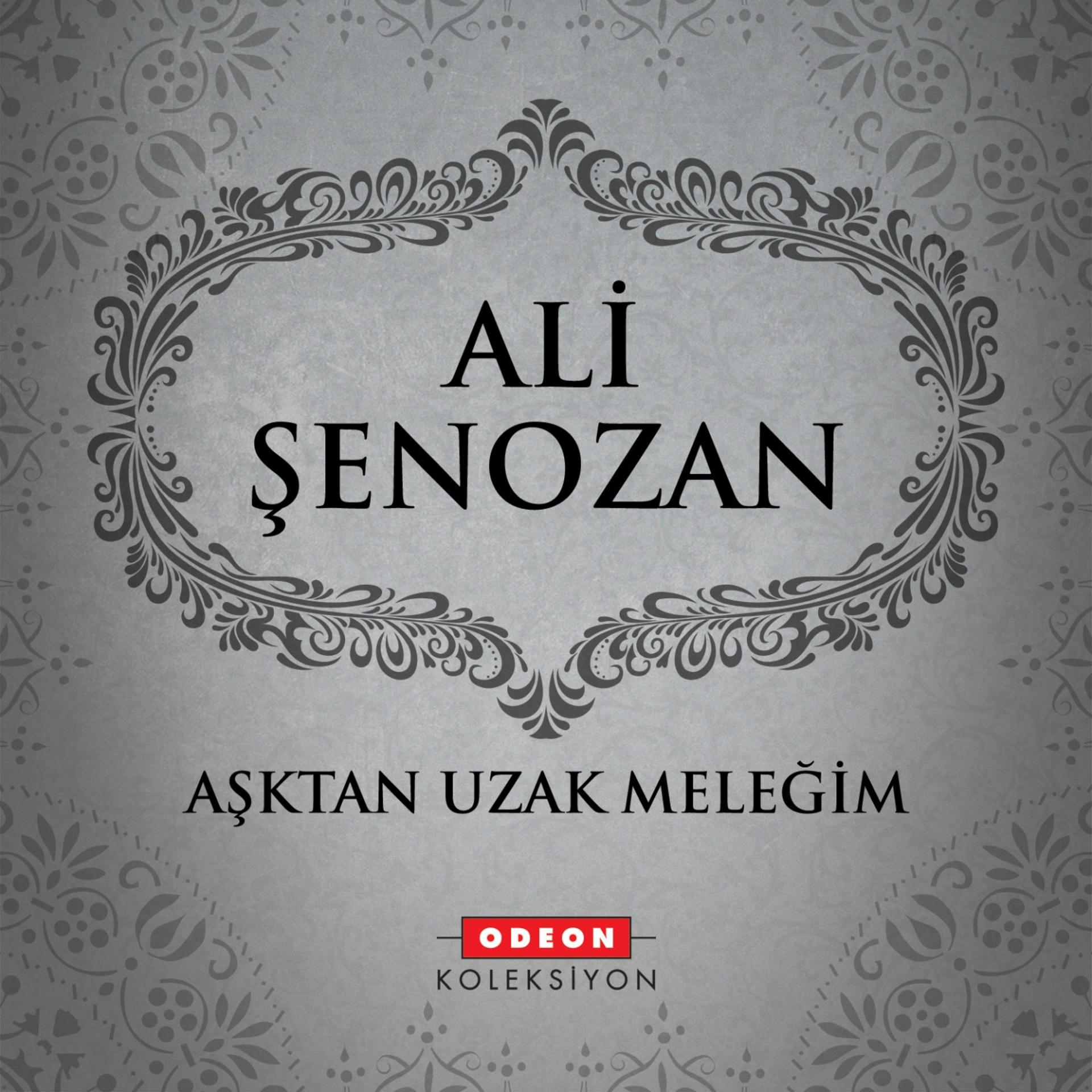 Постер альбома Aşktan Uzak Meleğim