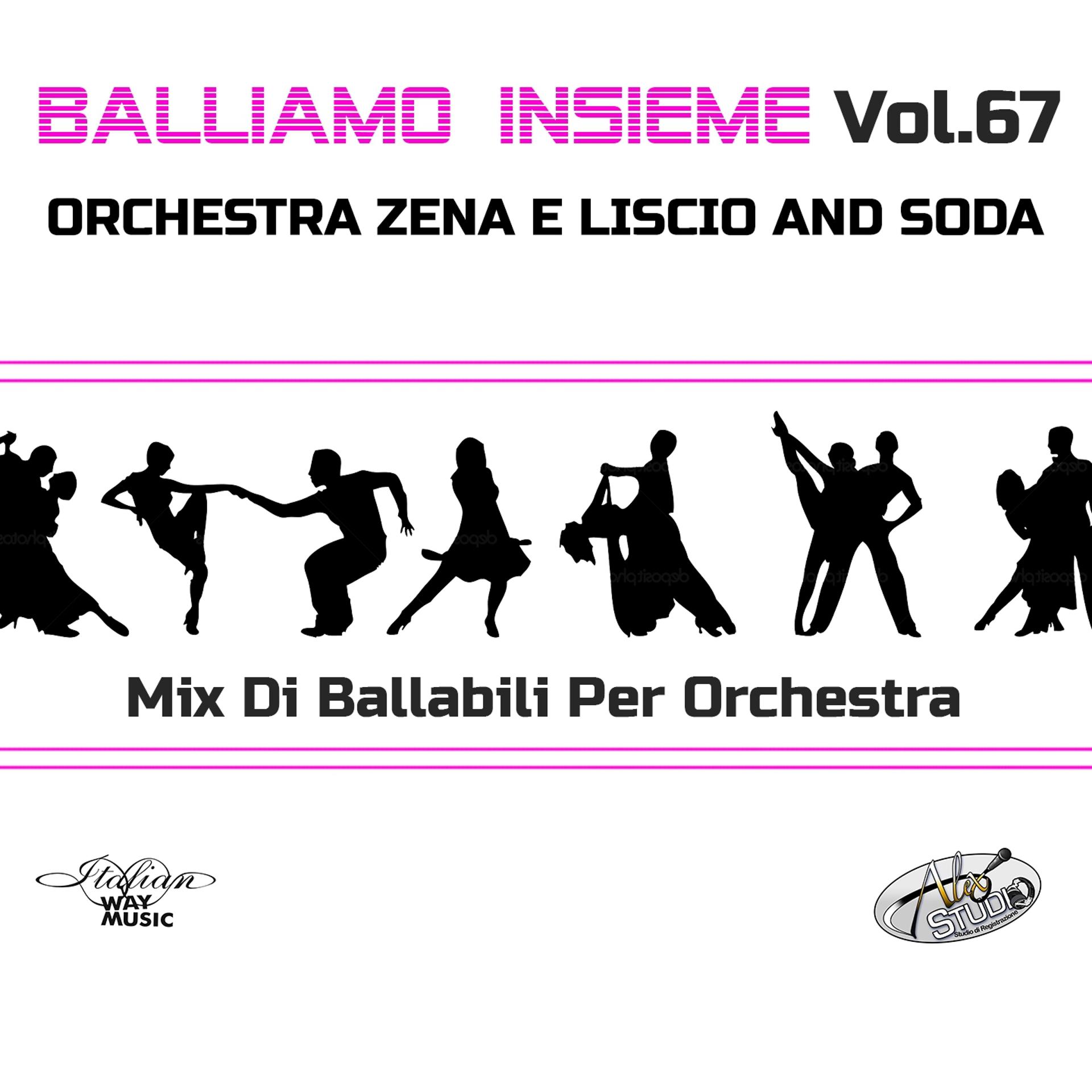 Постер альбома Balliamo insieme, Vol. 67 (Mix di ballabili per orchestra)