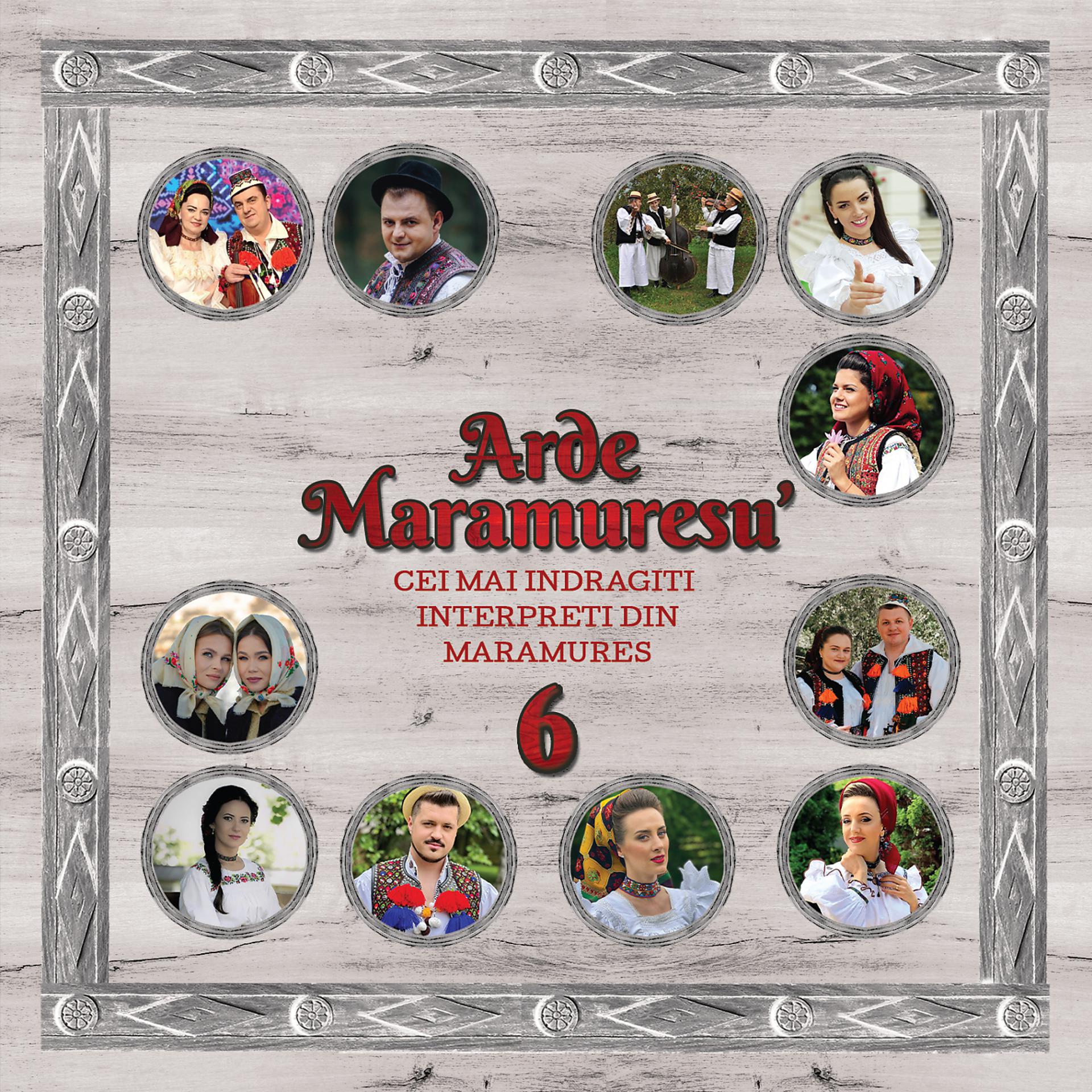 Постер альбома Arde Maramuresu', Vol. 6