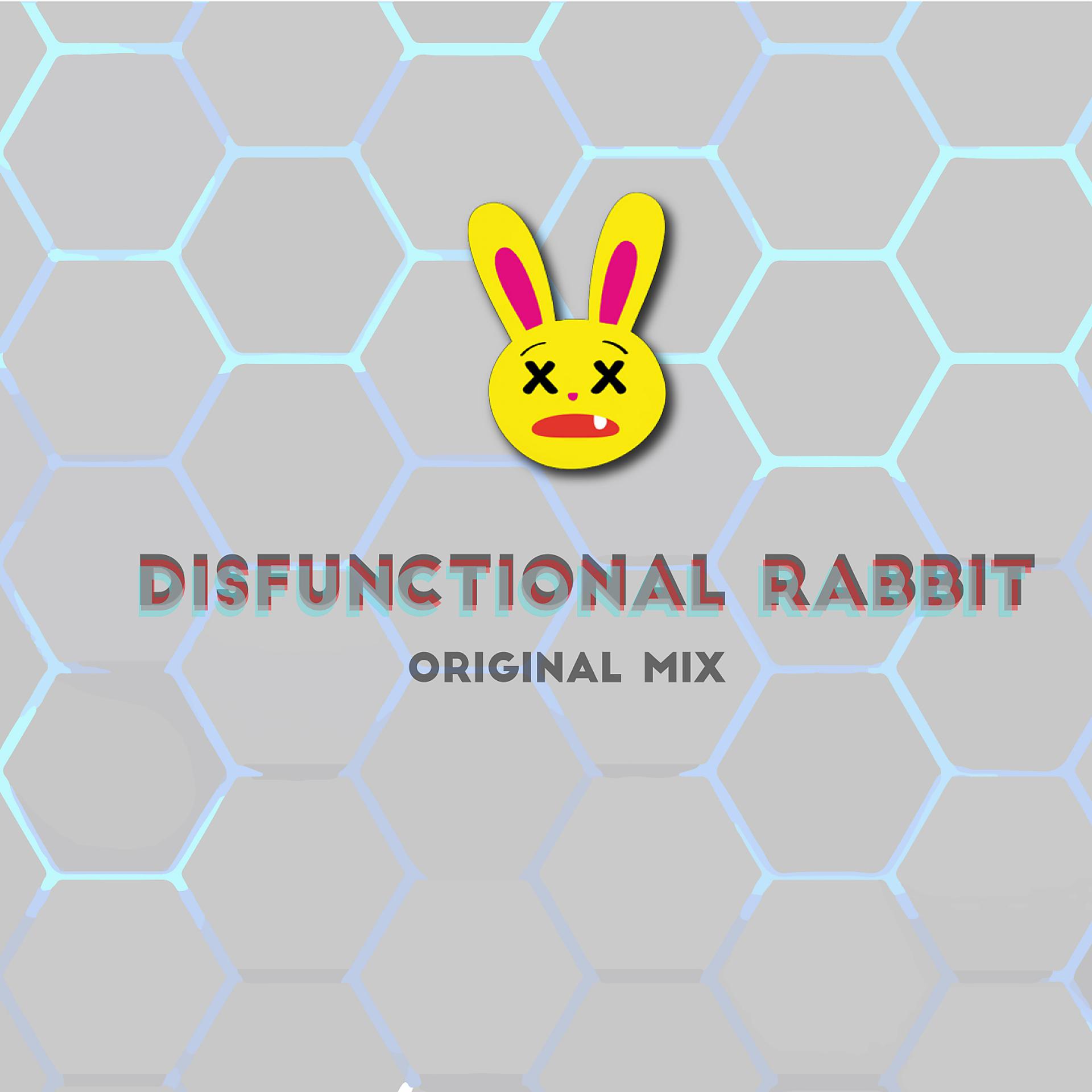 Постер альбома Disfunctional Rabbit
