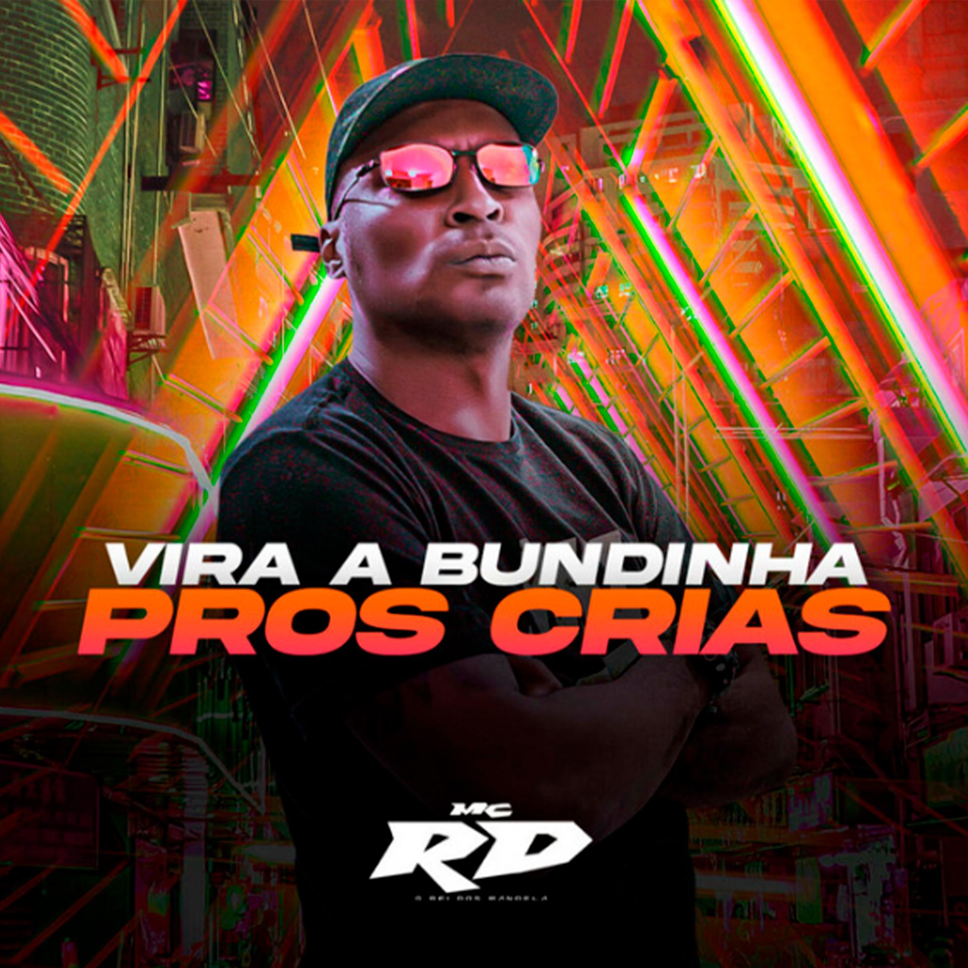 Постер альбома Vira a Bundinha Pros Crias