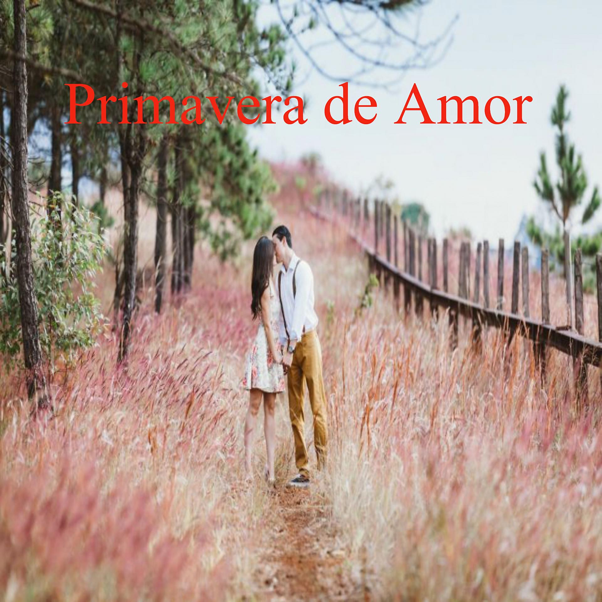 Постер альбома Primavera de Amor