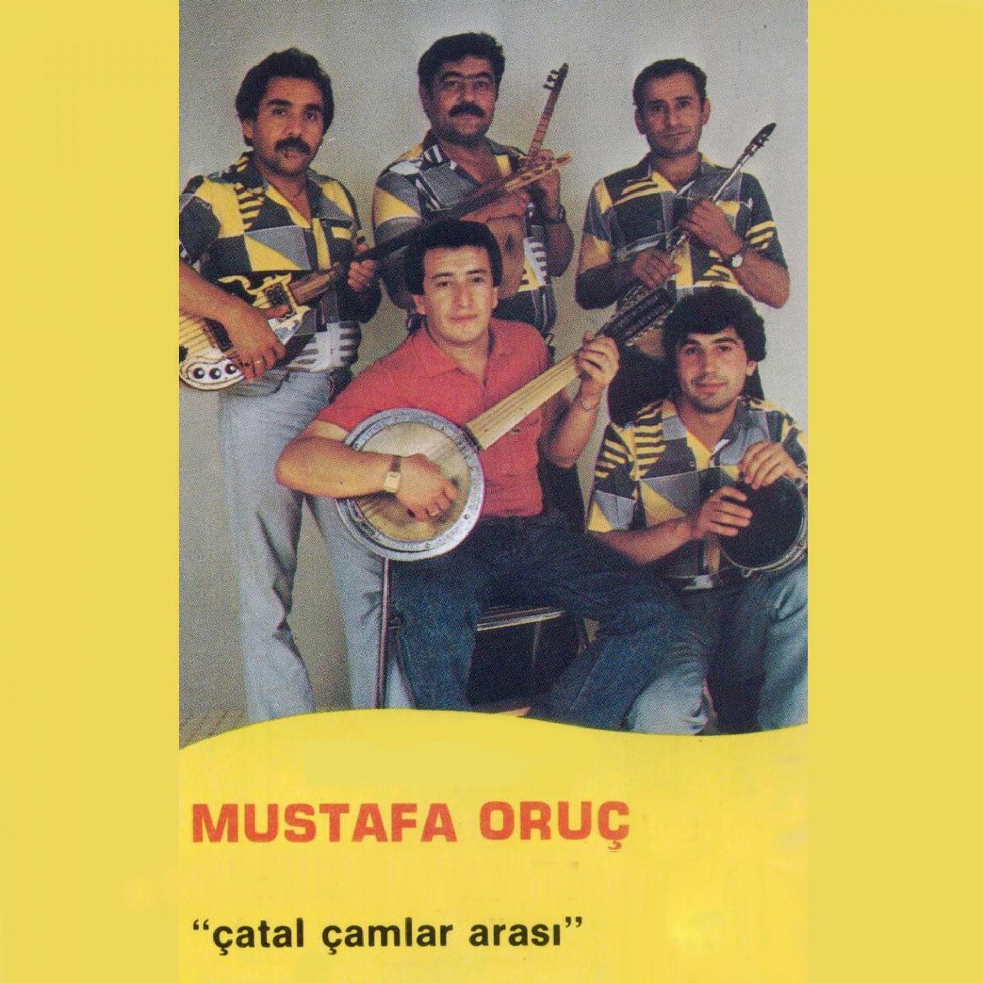 Постер альбома Çatal Çamlar Arası