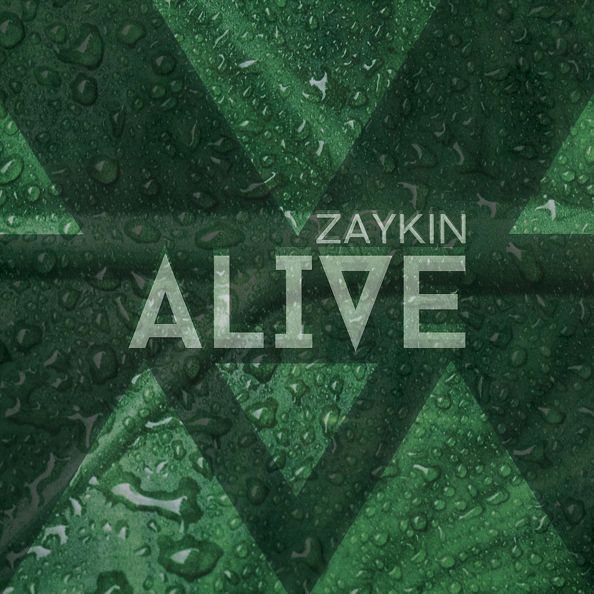 Постер к треку Zaykin - Alive