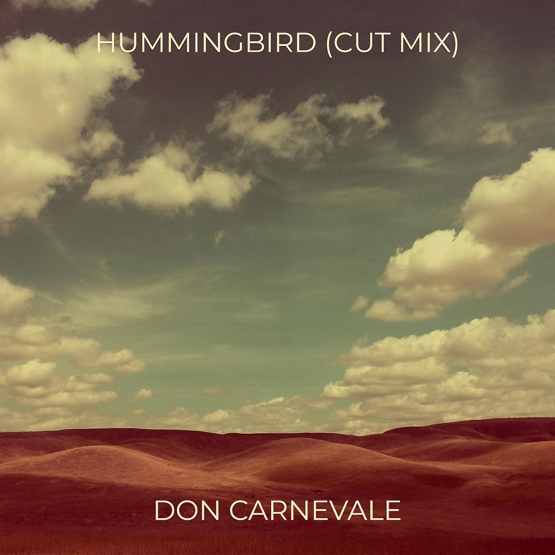 Постер альбома Hummingbird (Cut Mix)