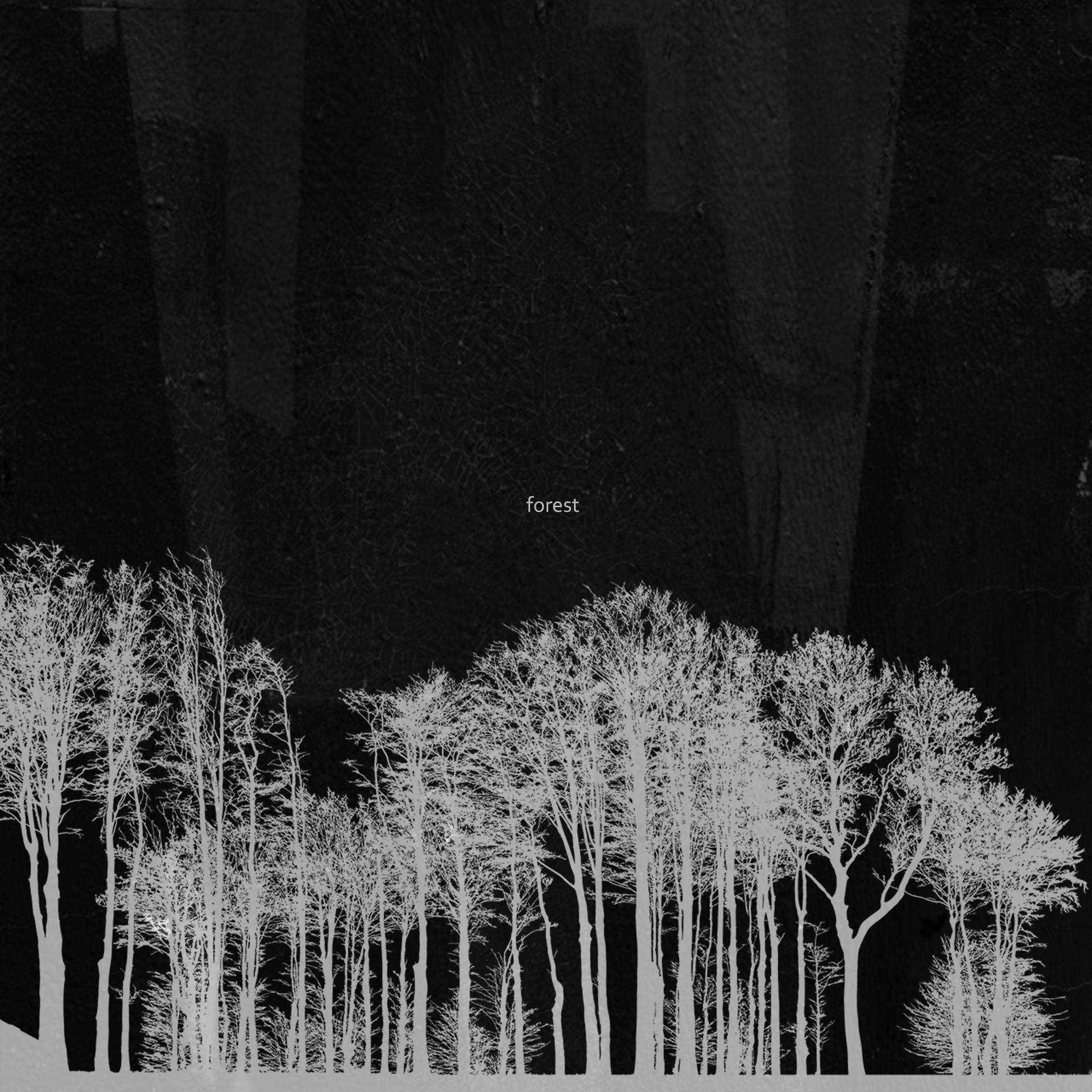 Постер альбома forest