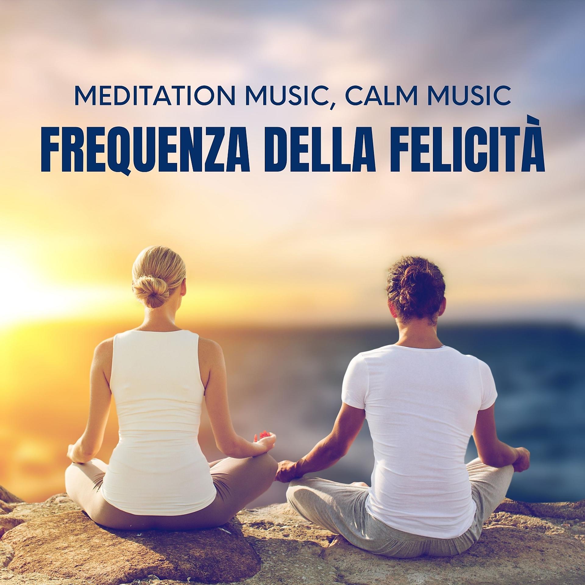 Постер альбома Frequenza della felicità