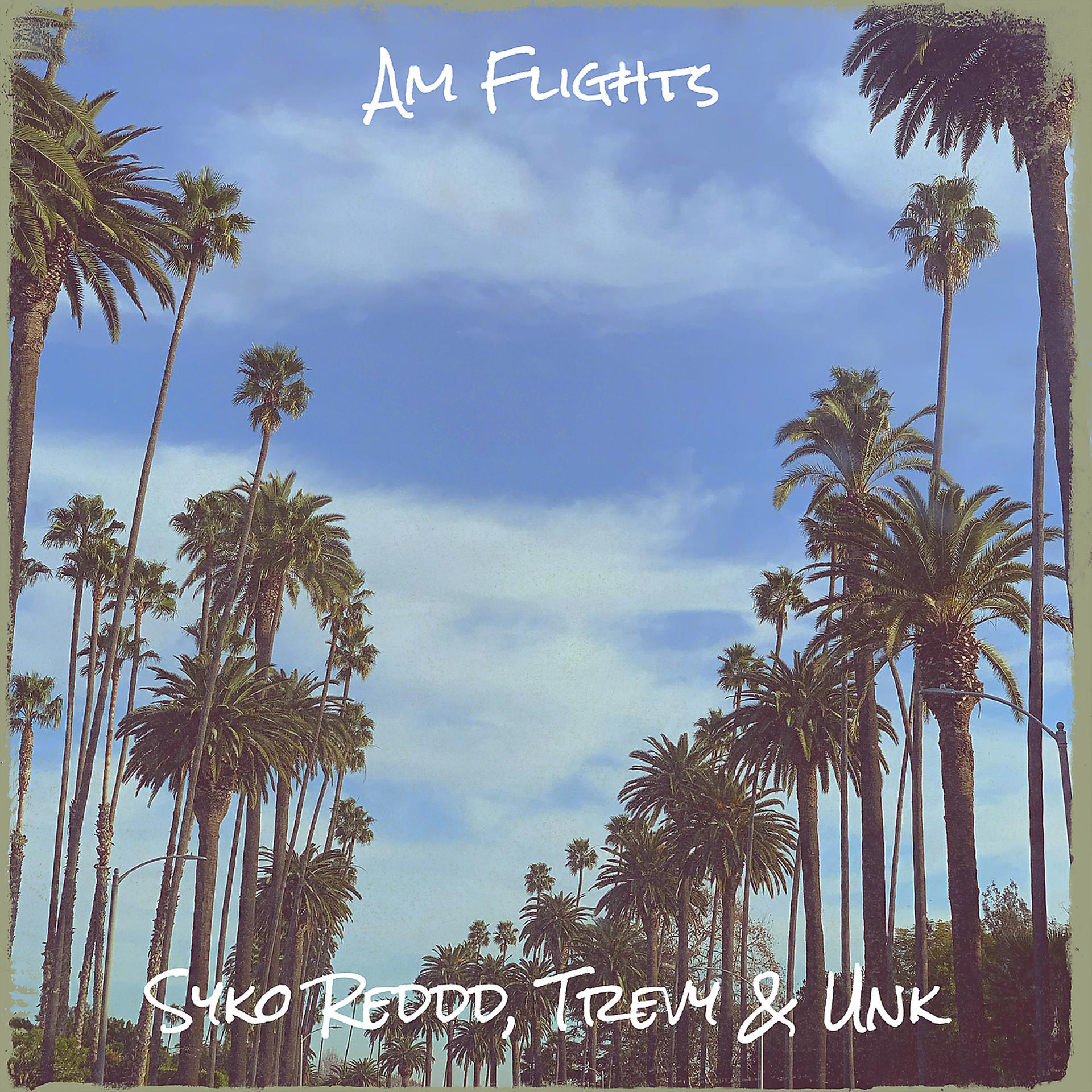 Постер альбома Am Flights