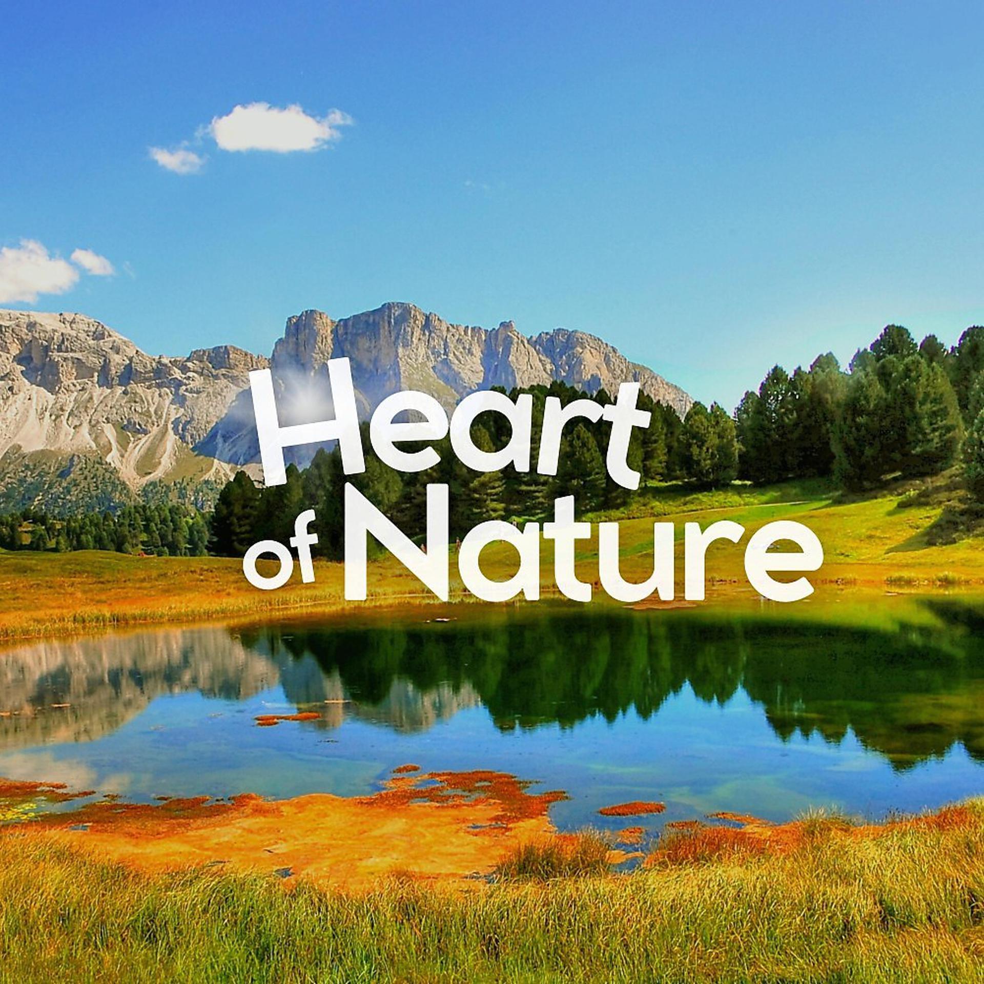 Постер альбома Heart of Nature