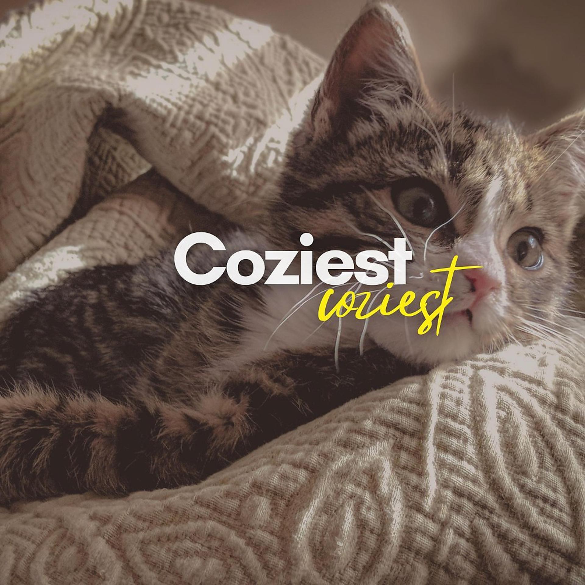 Постер альбома Coziest