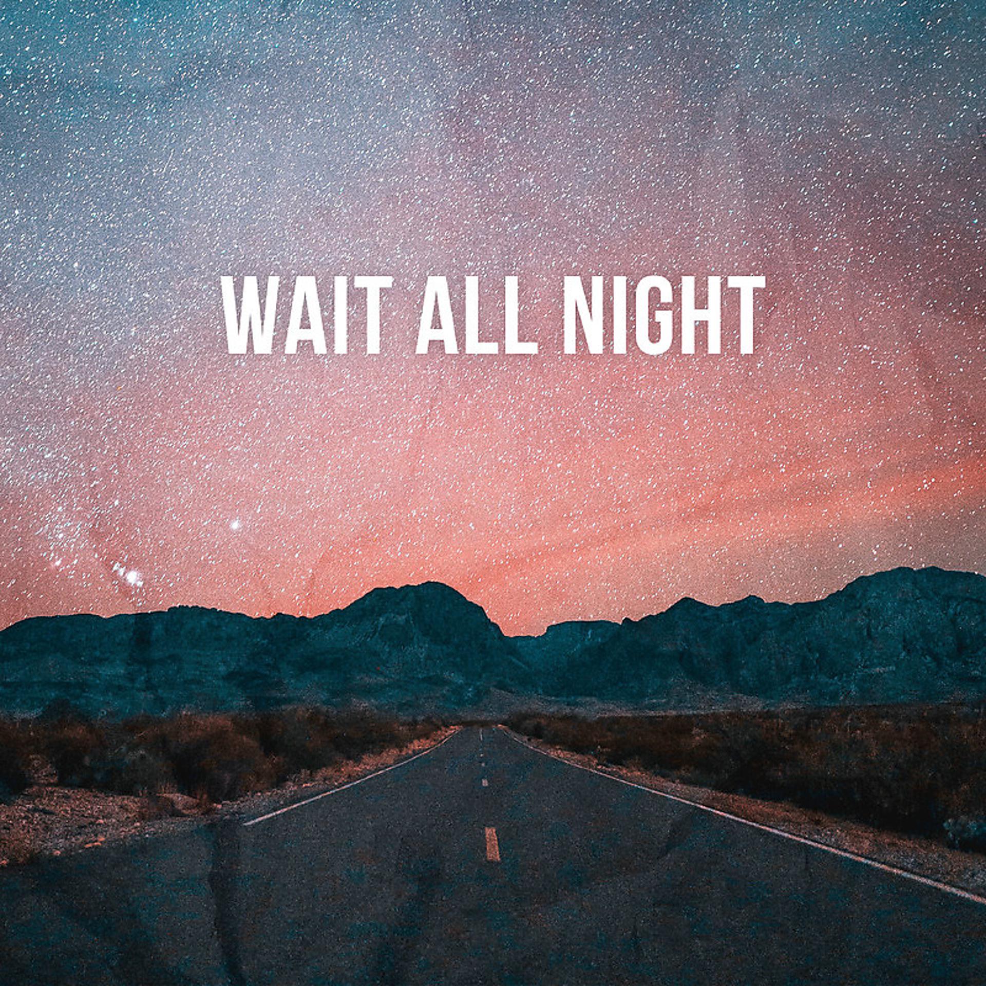 Постер альбома Wait All Night