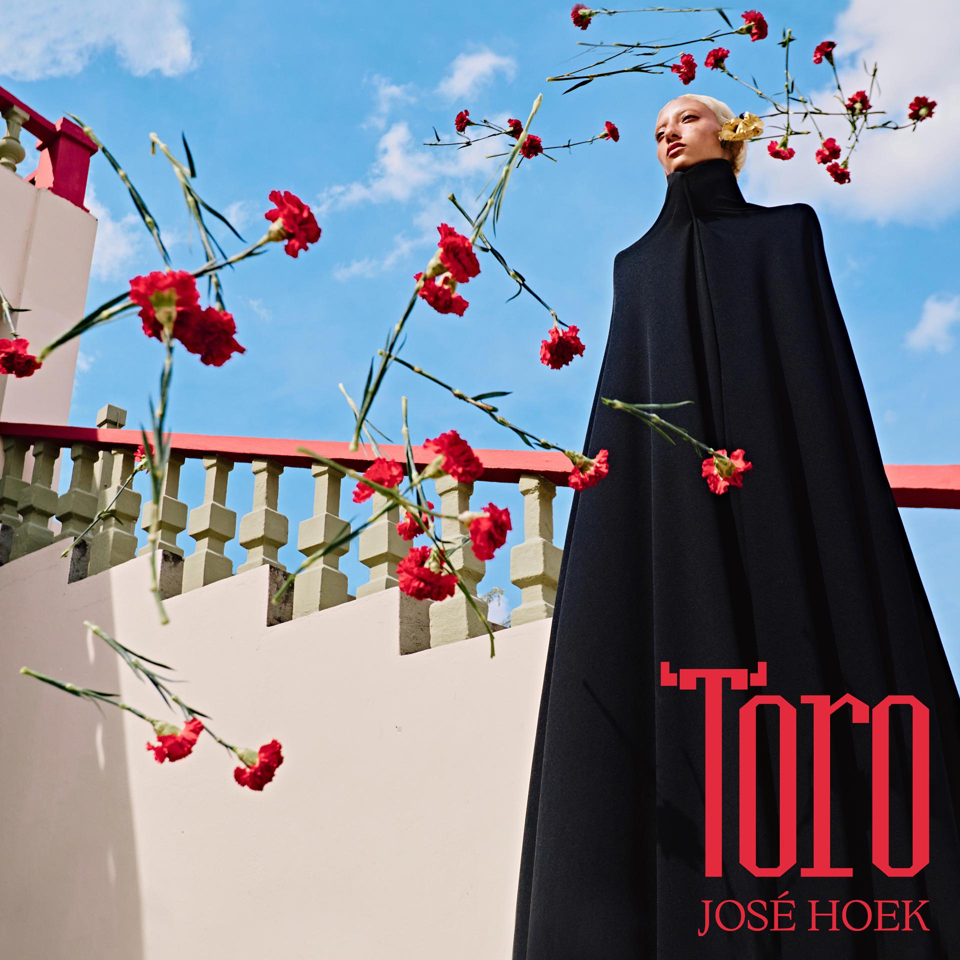 Постер альбома TORO