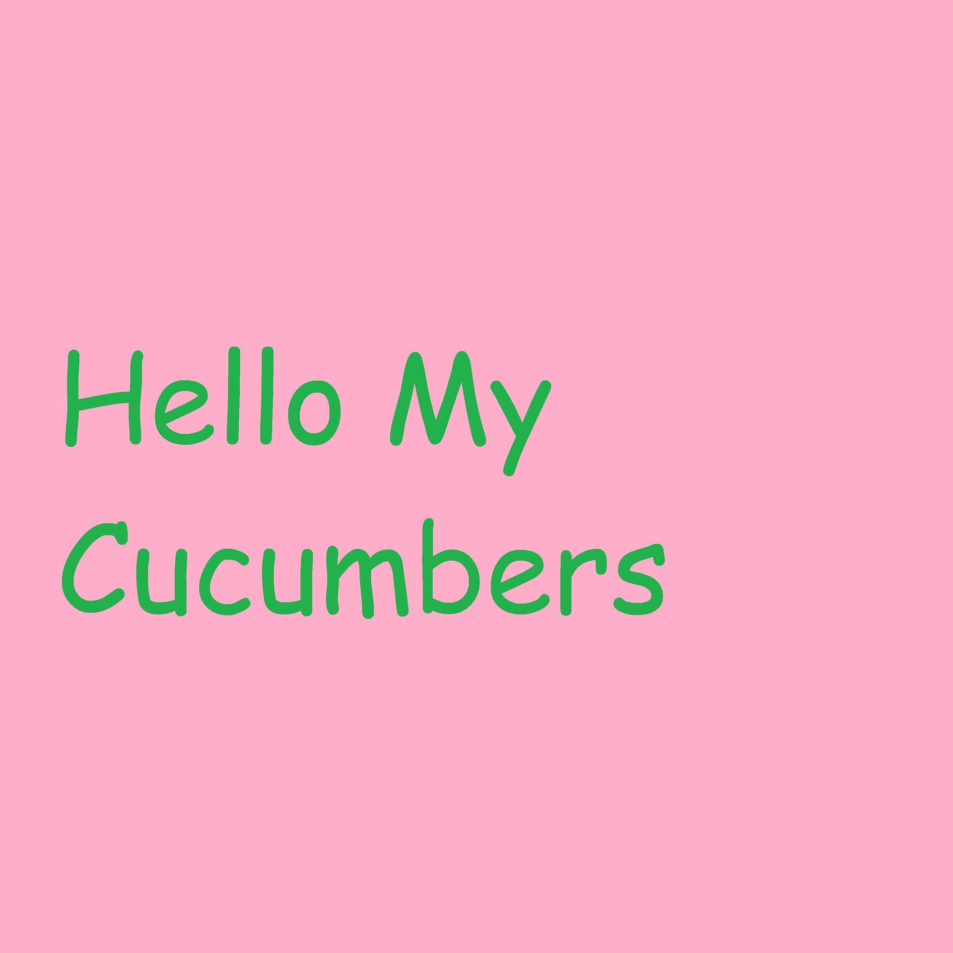 Постер альбома Hello My Cucumbers