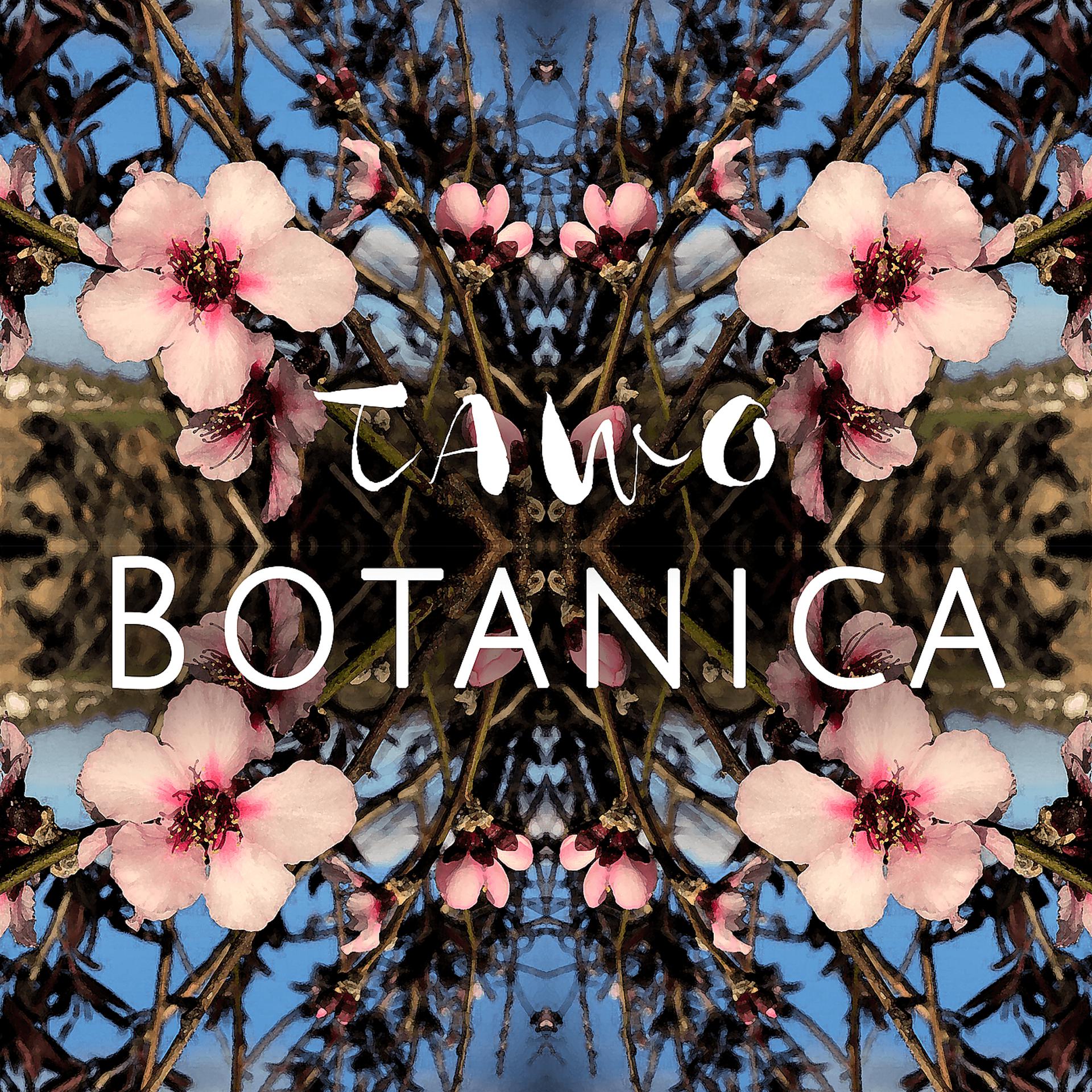 Постер альбома Botanica