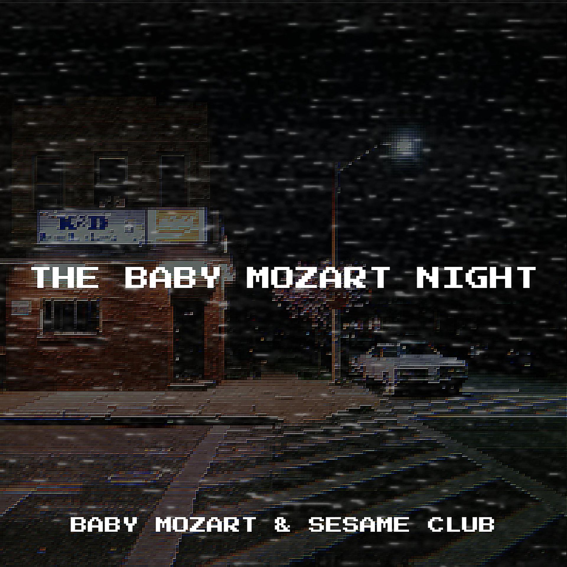 Постер альбома The Baby Mozart Night