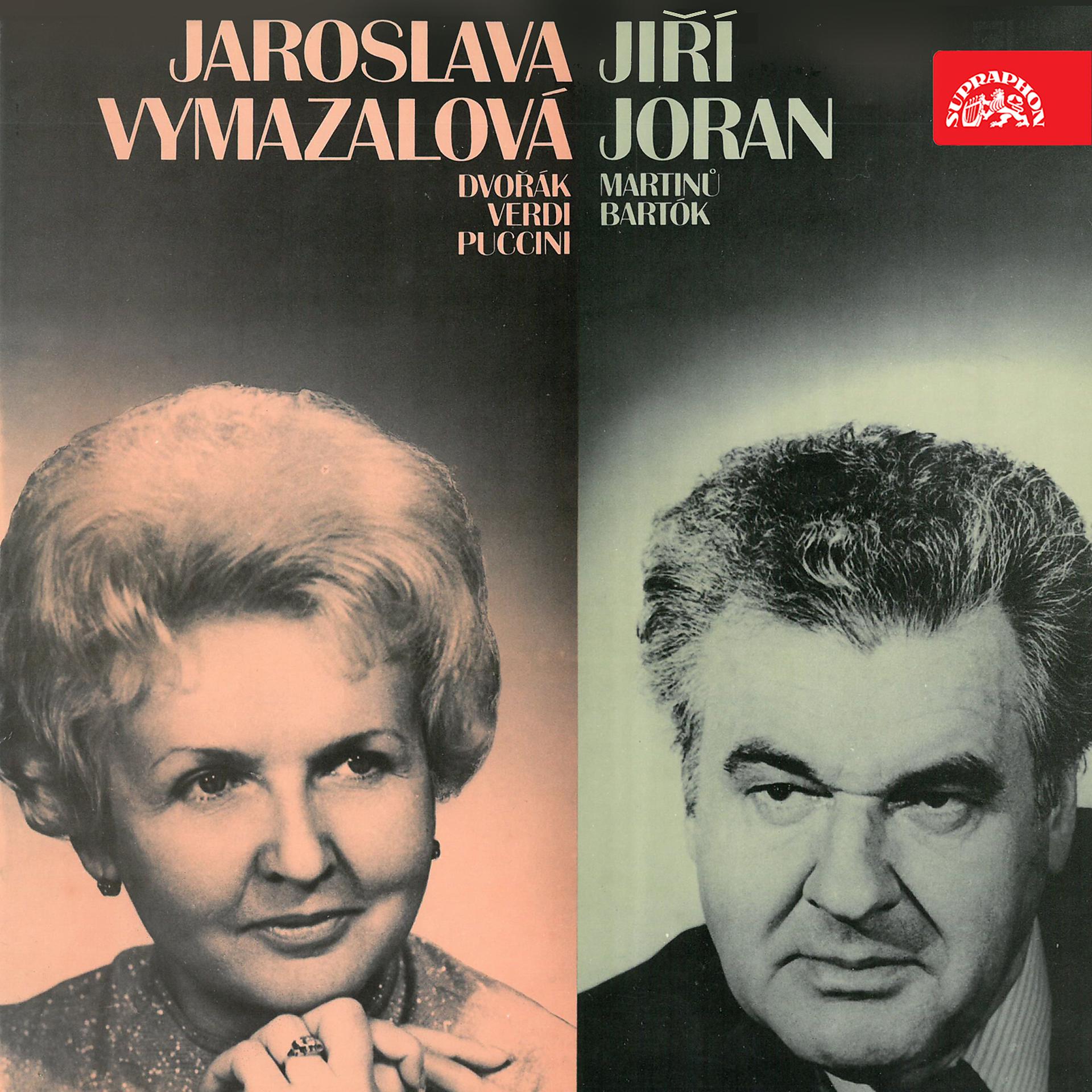 Постер альбома Jaroslava Vymazalová, Jiří Joran