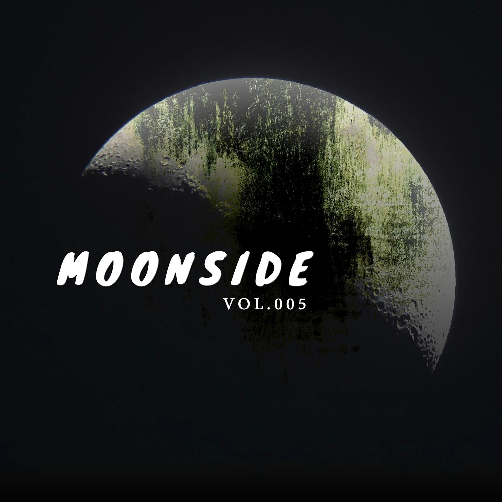 Постер альбома Moonside, Vol. 005