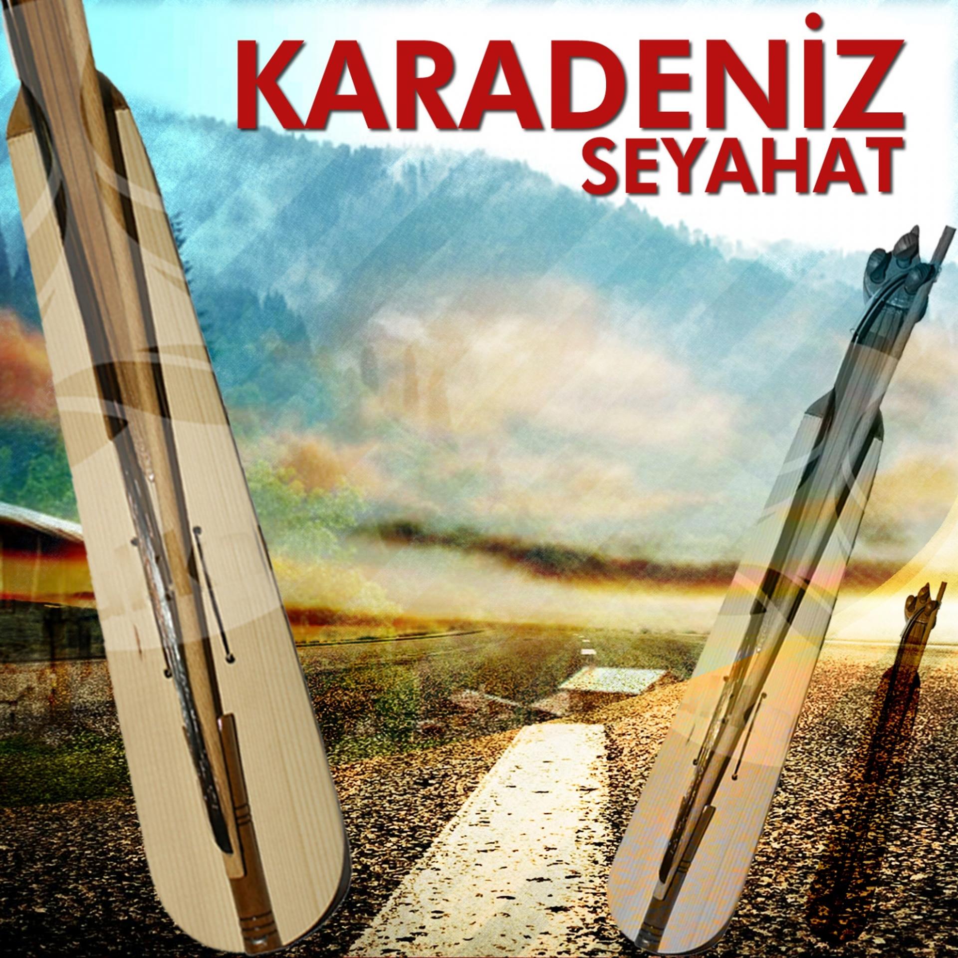 Постер альбома Karadeniz Seyahat