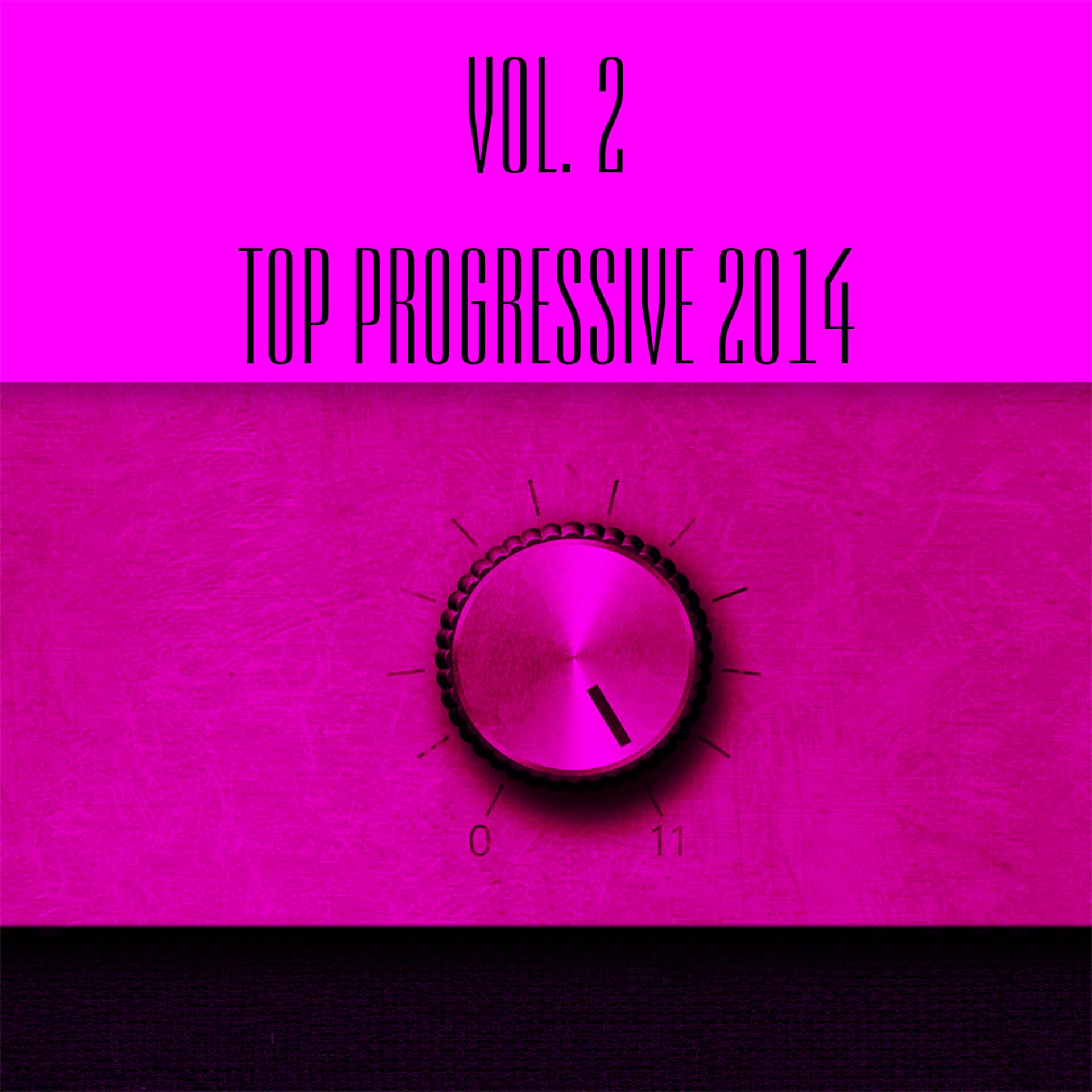 Постер альбома Top Progressive 2014, Vol. 2