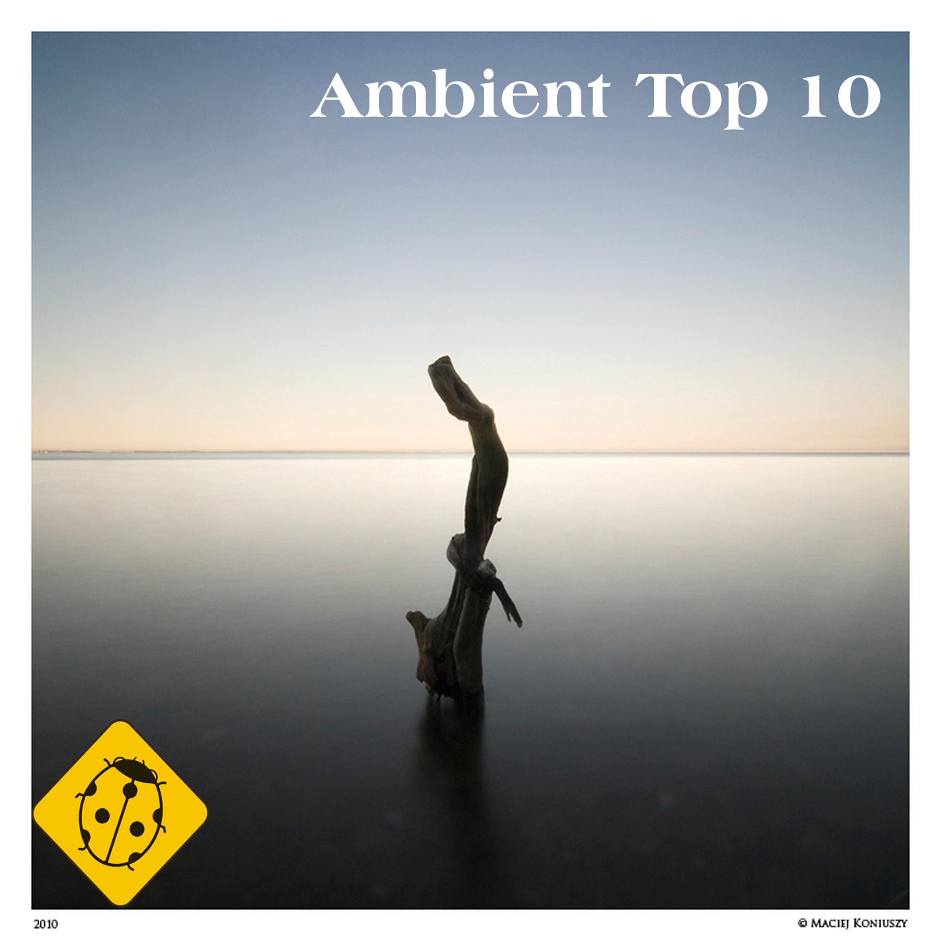 Постер альбома Ambient Top 10