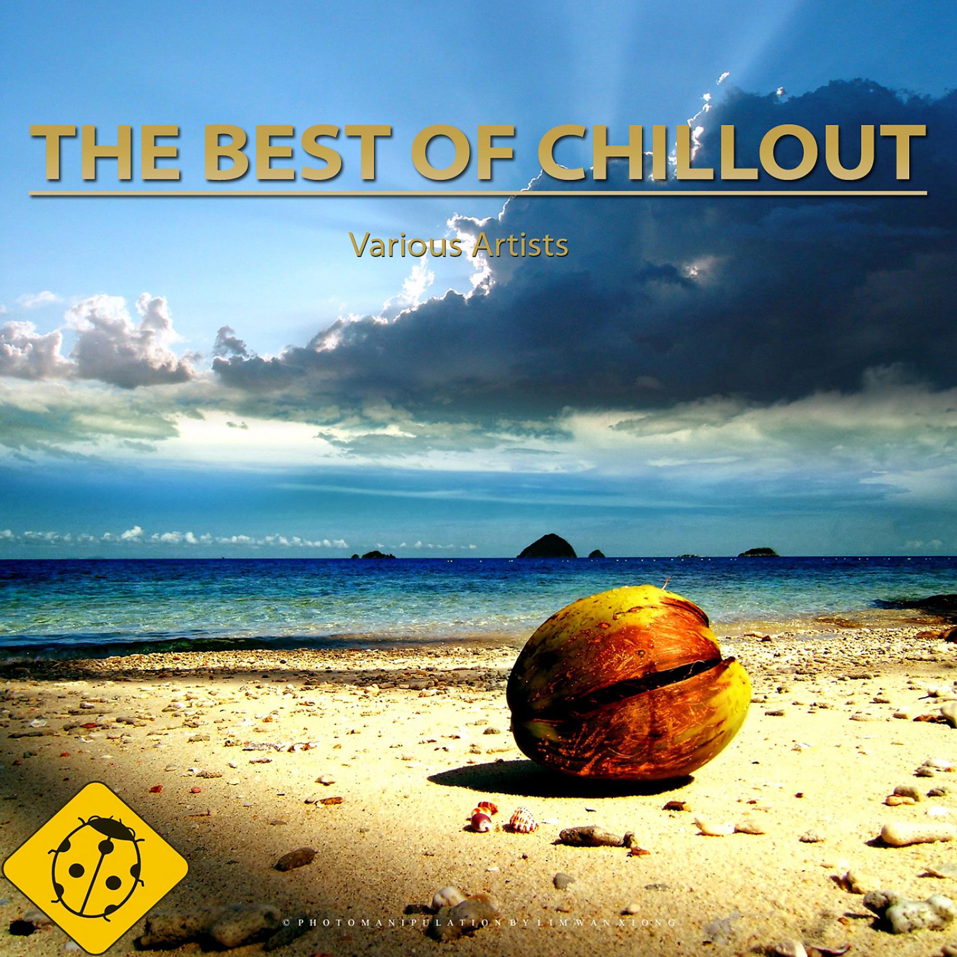 Постер альбома The Best of Chillout