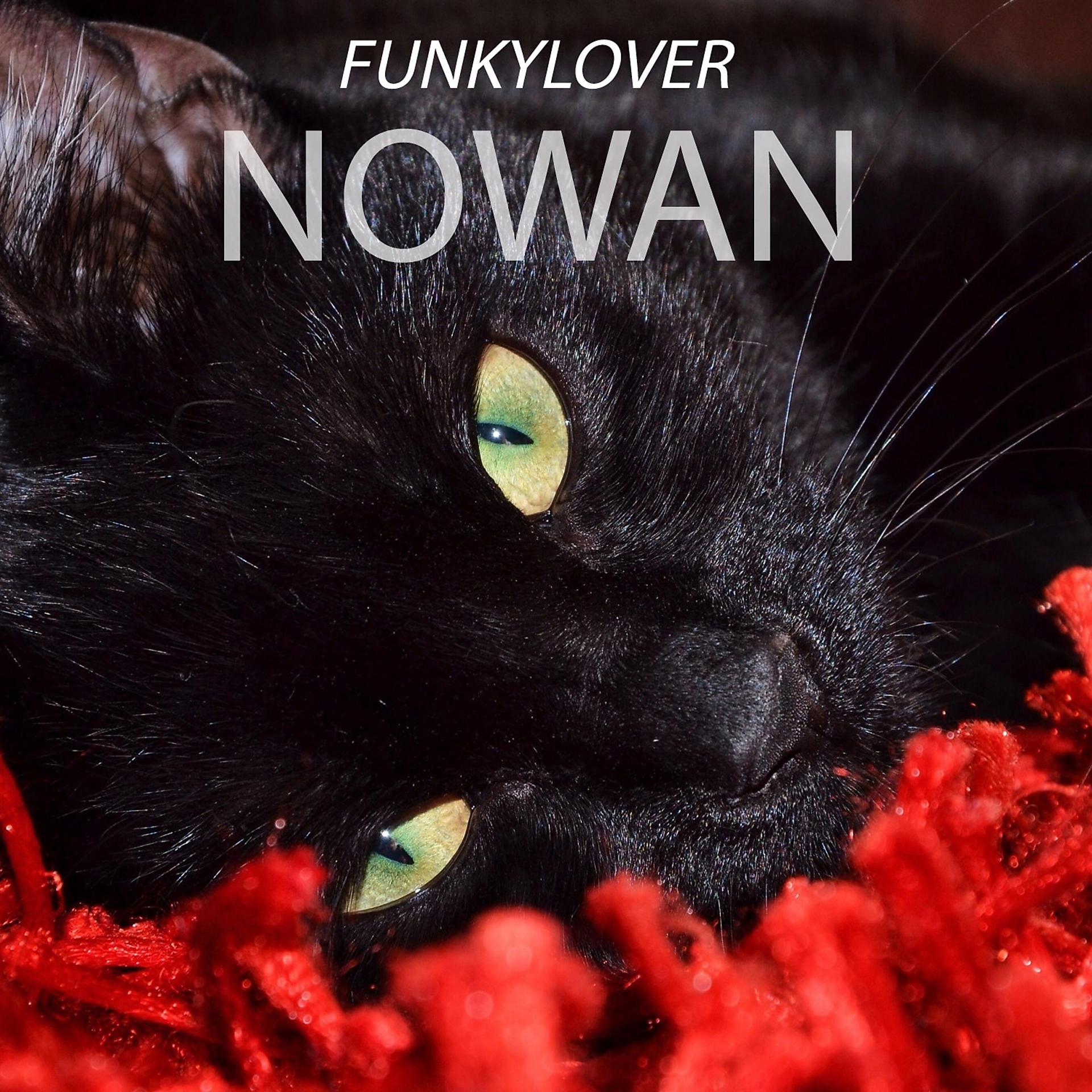 Постер альбома Nowan