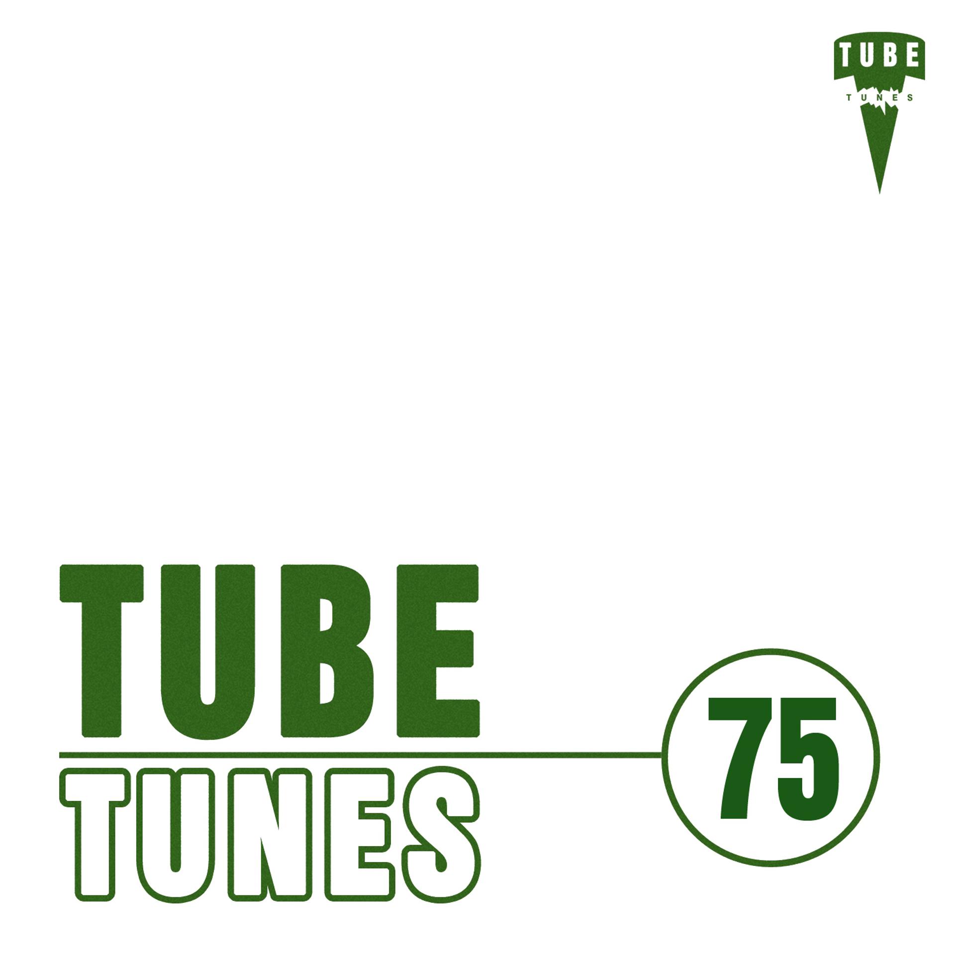 Постер альбома Tube Tunes, Vol. 75