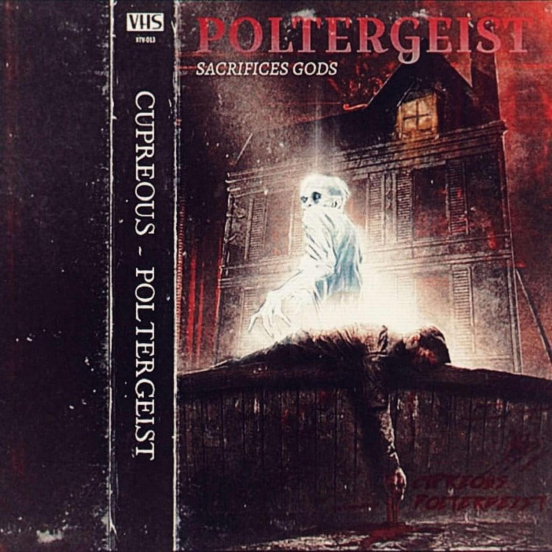Постер альбома Poltergeist (prod. by HOSTILAZE)