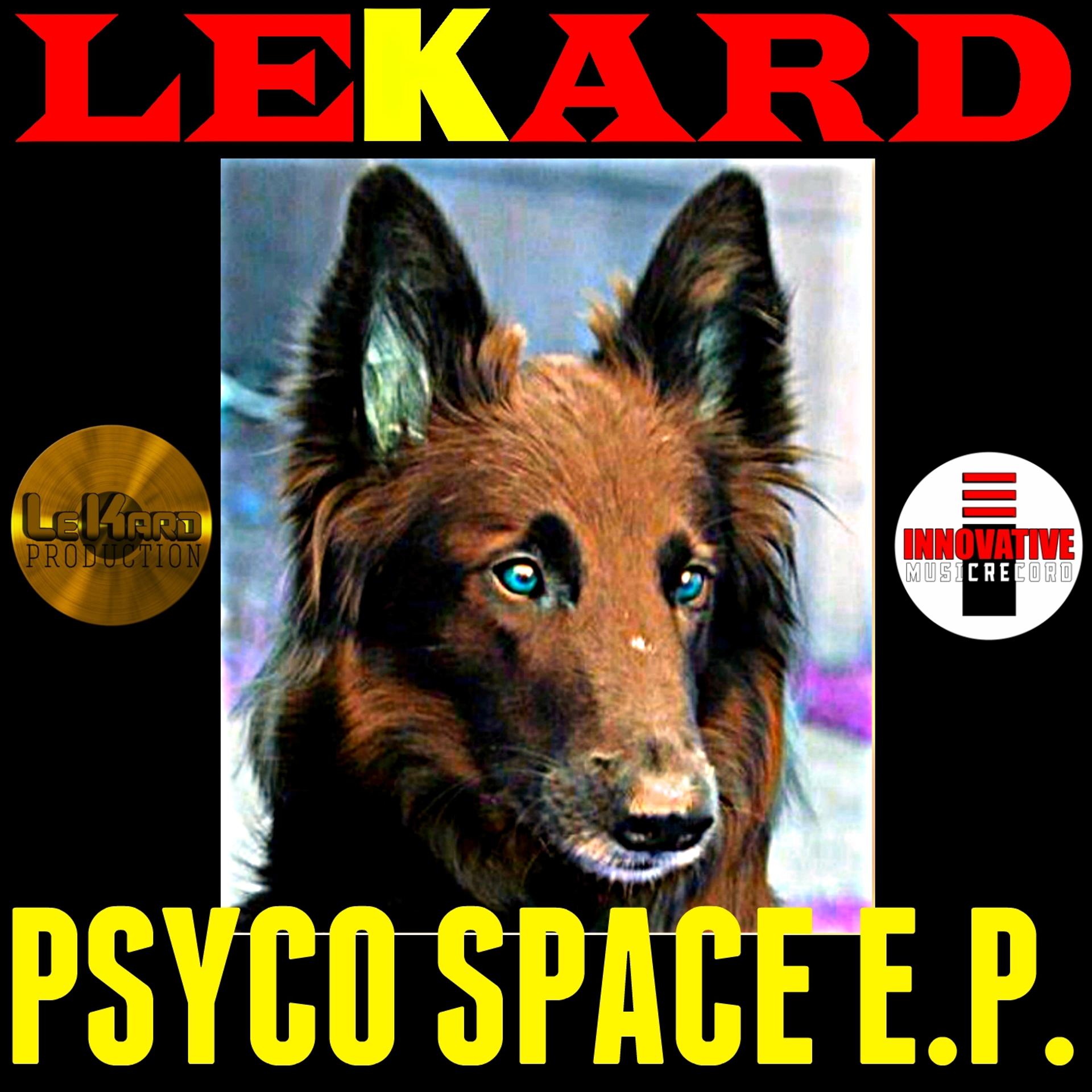 Постер альбома Psyco Space