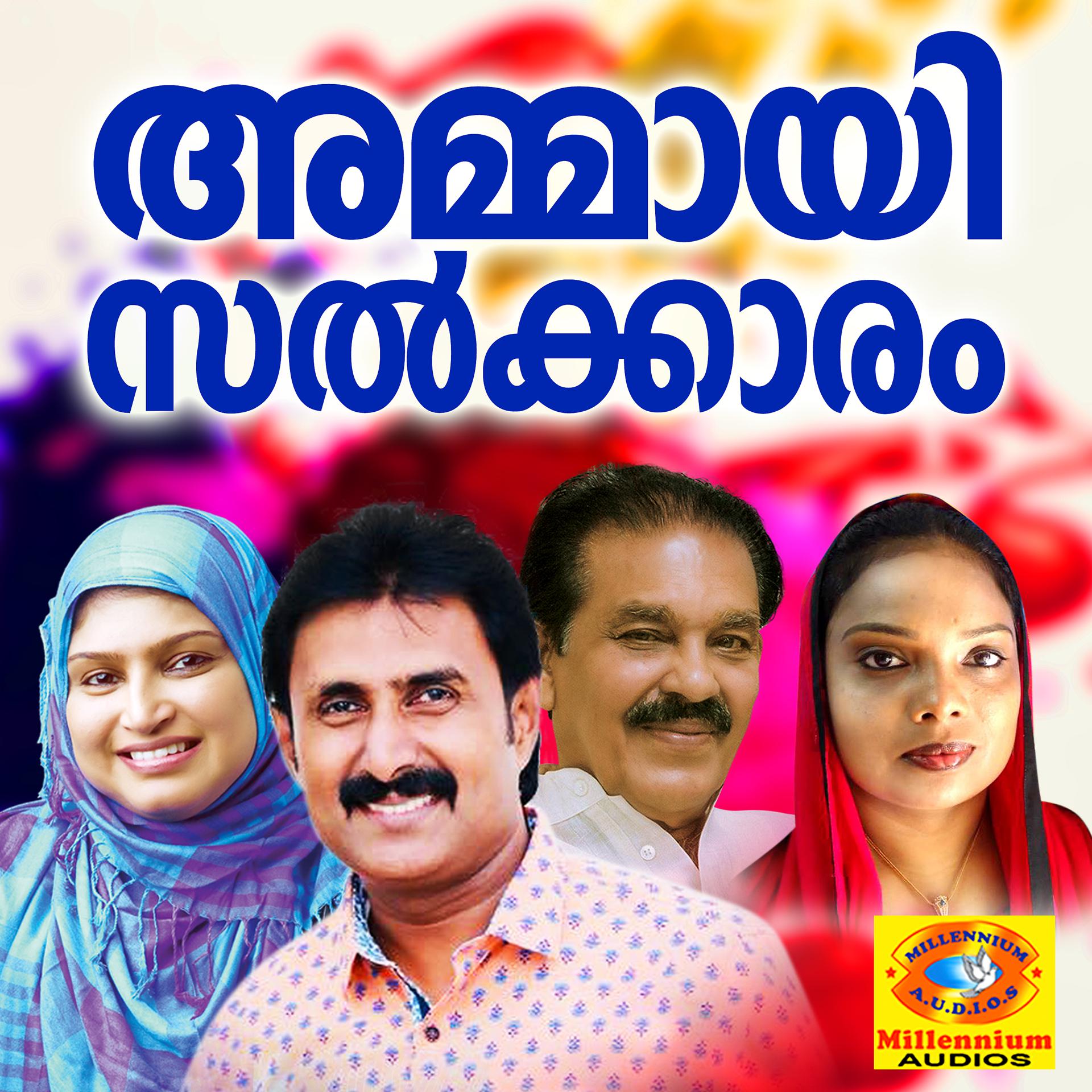 Постер альбома Ammayi Salkkaram