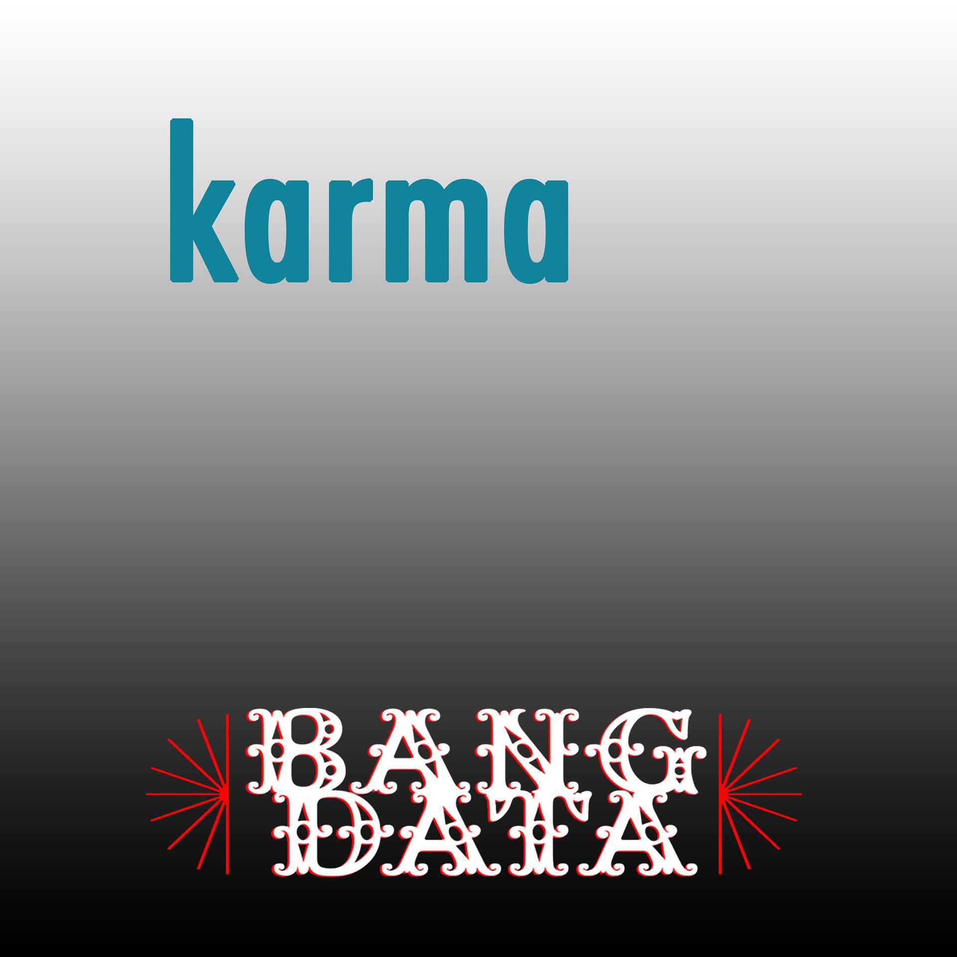 Постер альбома Karma