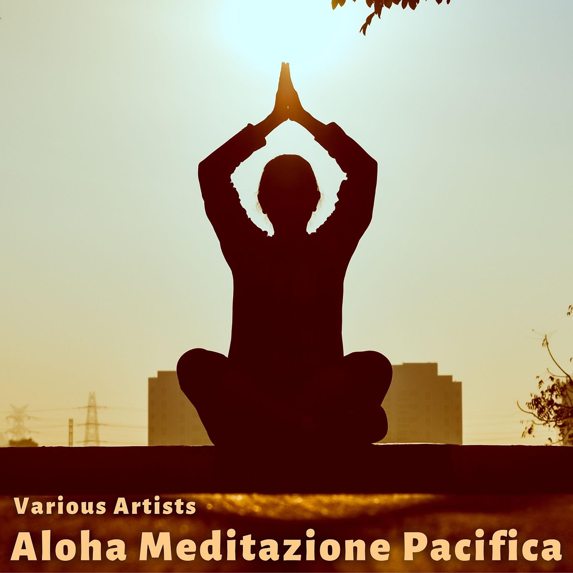 Постер альбома Aloha meditazione pacifica