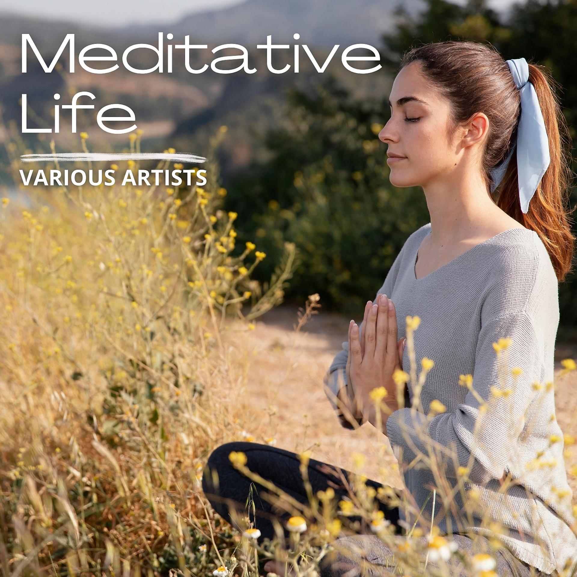 Постер альбома Meditative Life