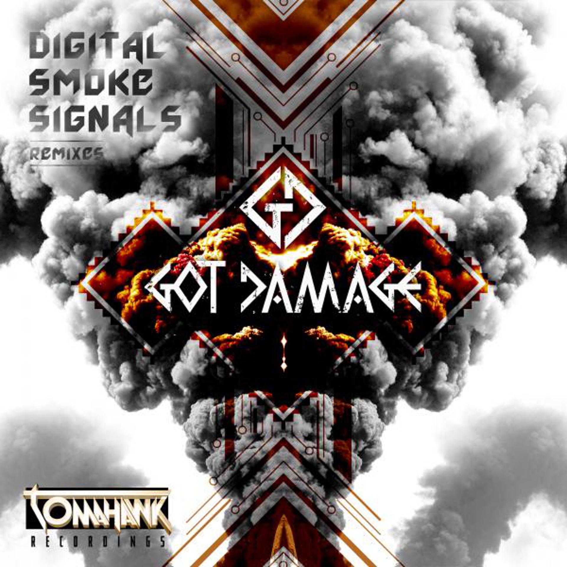 Постер альбома Digital Smoke Signals