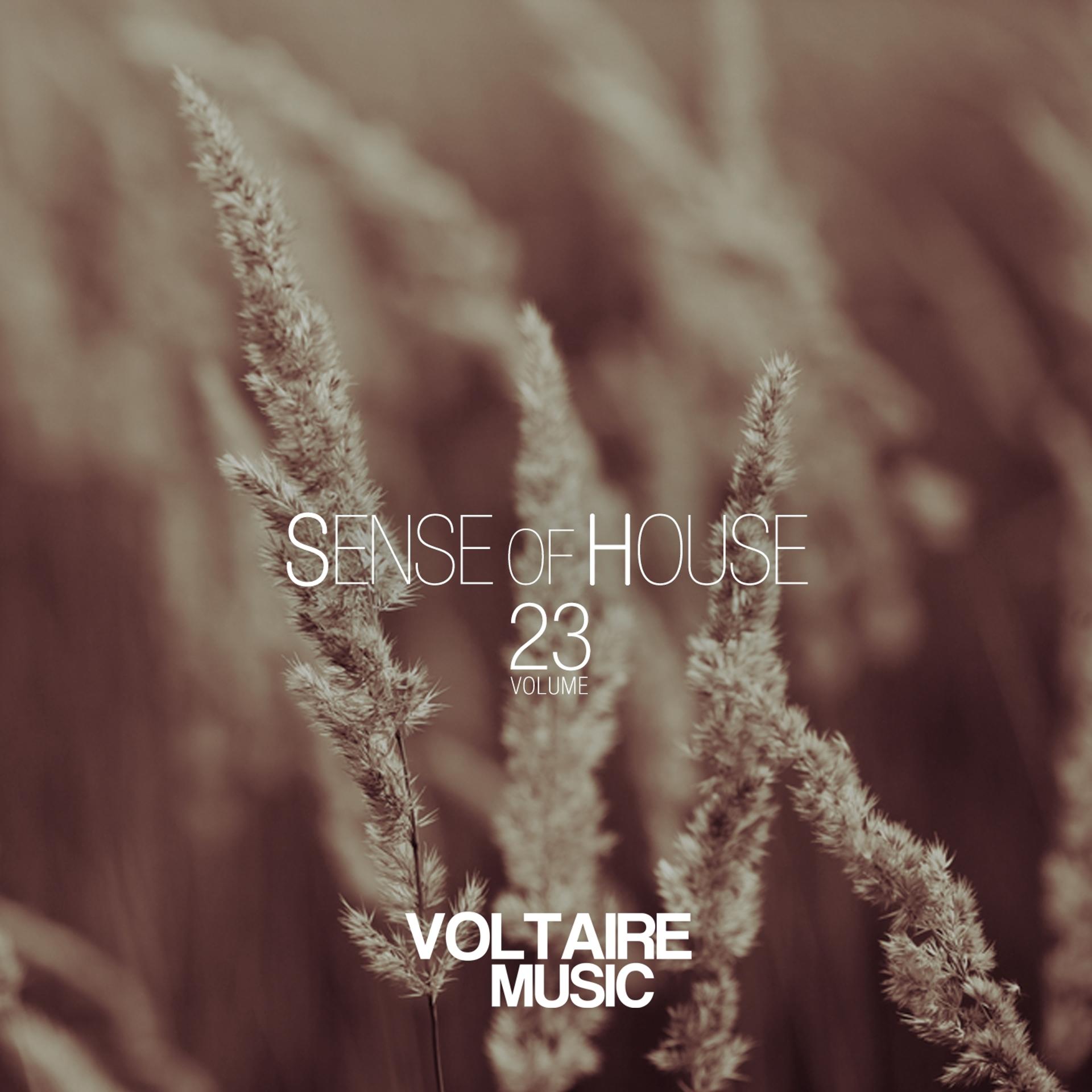 Постер альбома Sense of House, Vol. 23