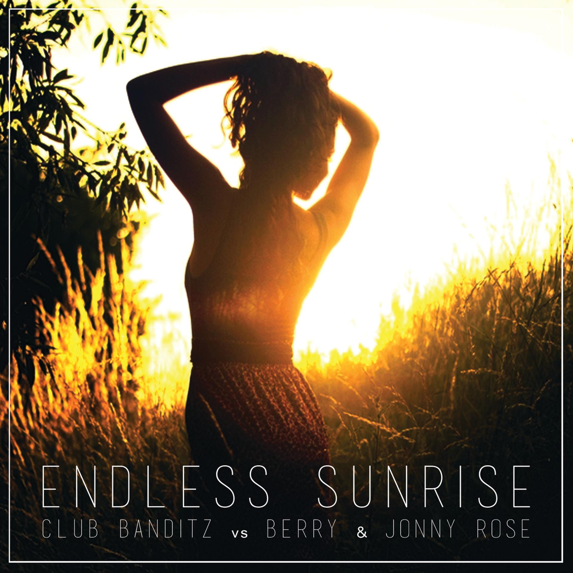 Постер альбома Endless Sunrise