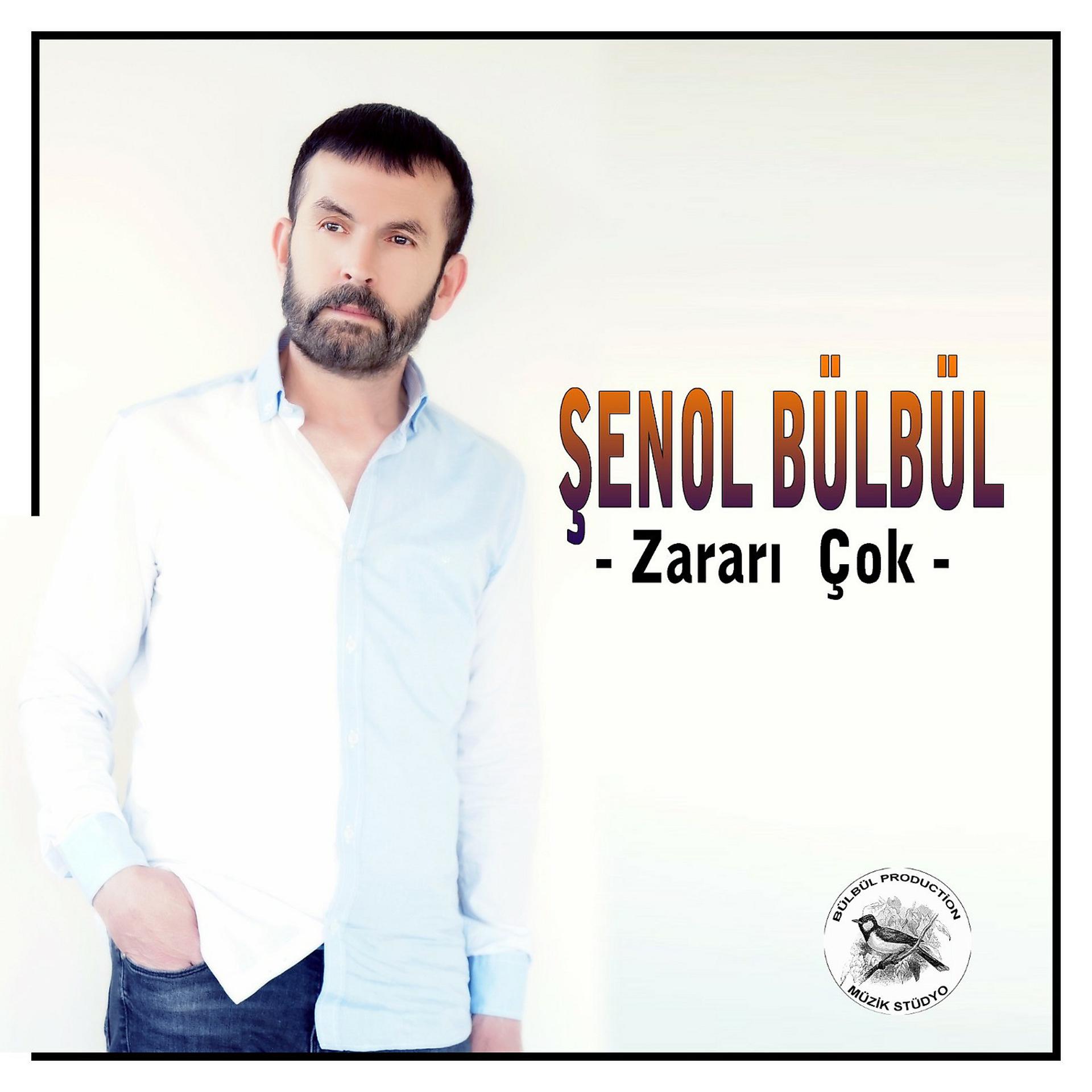 Постер альбома Zararı Çok