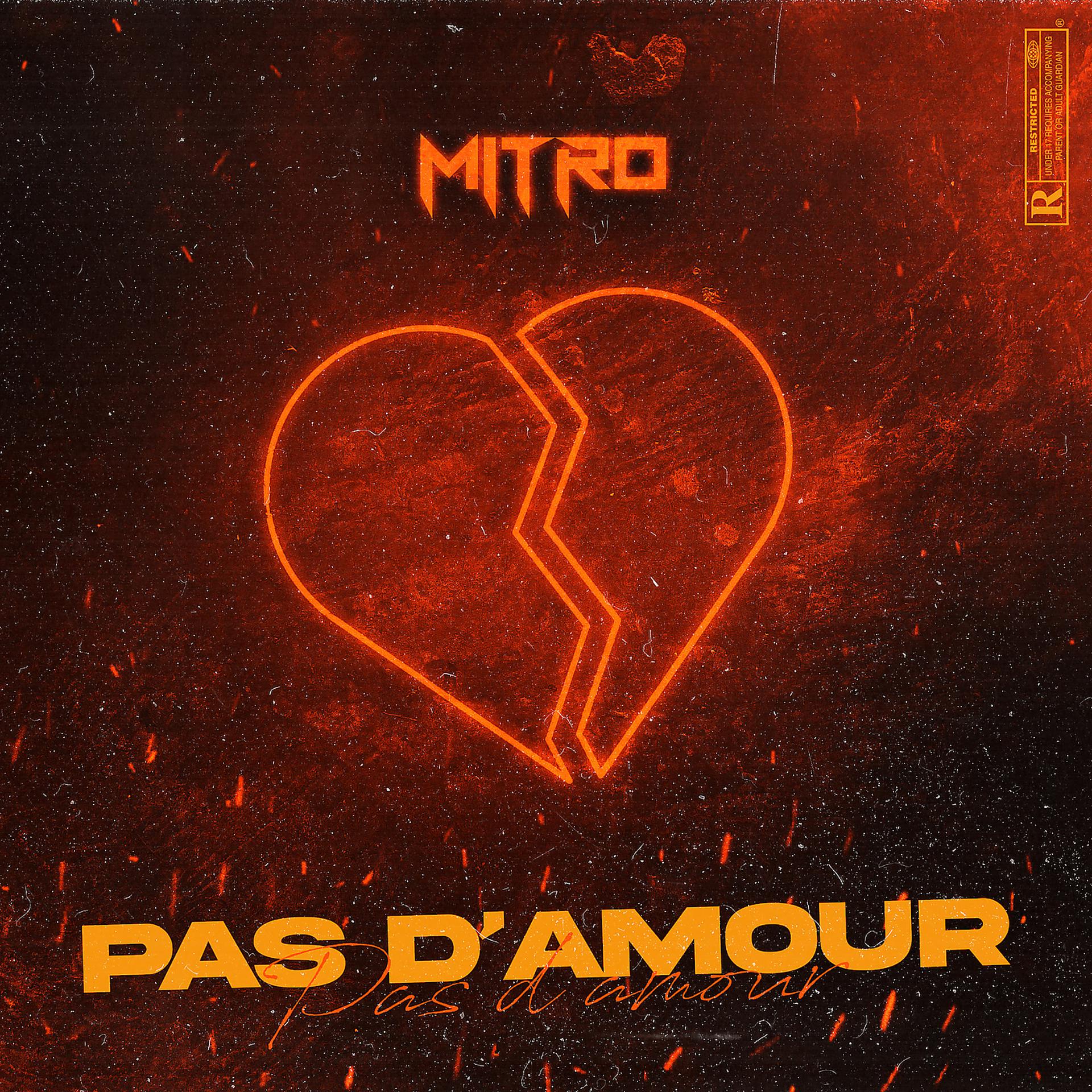 Постер альбома Pas D'amour