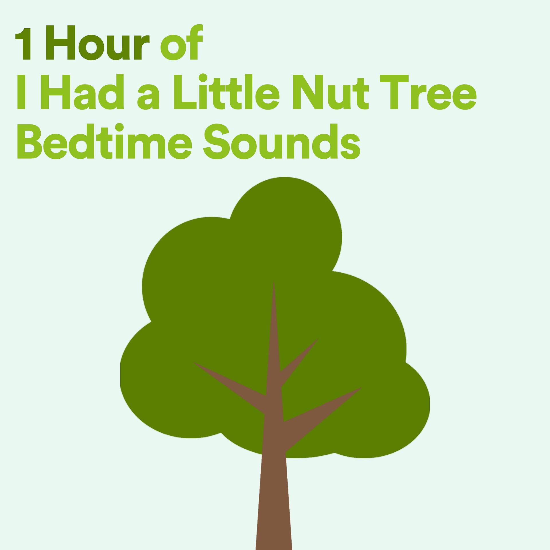 Постер альбома 1 Hour of I Had a Little Nut Tree Bedtime Sounds