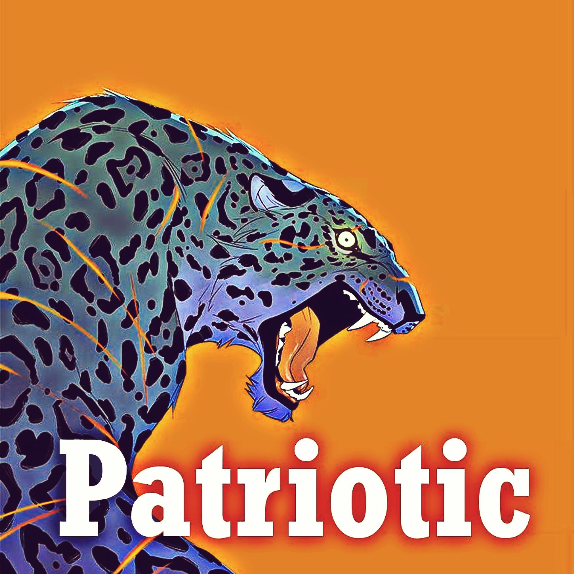 Постер альбома Patriotic