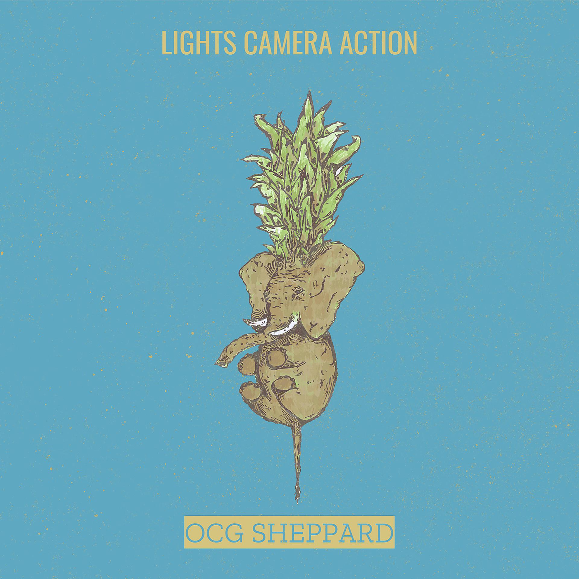 Постер альбома Lights Camera Action