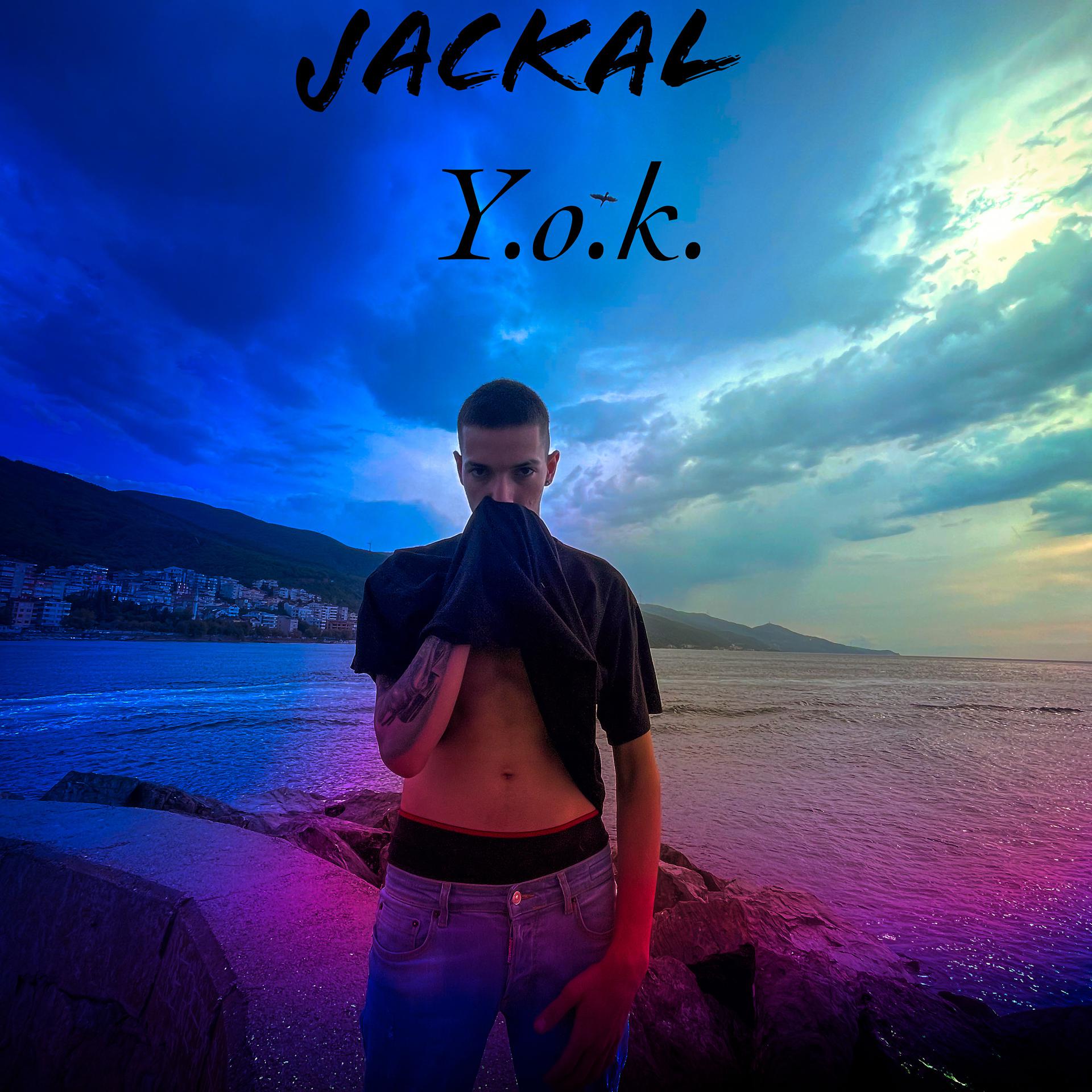 Постер альбома YOK