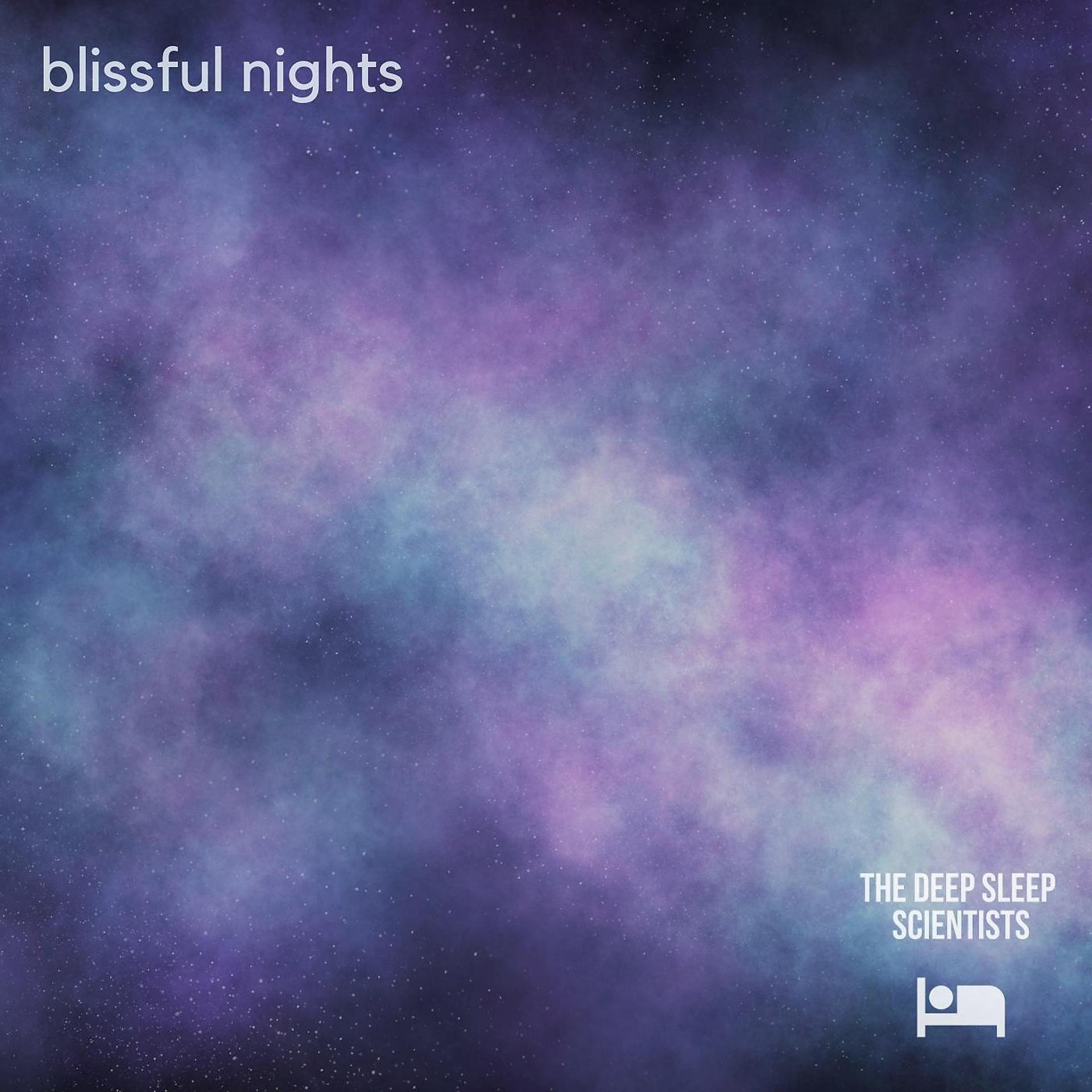 Постер альбома Blissful Nights