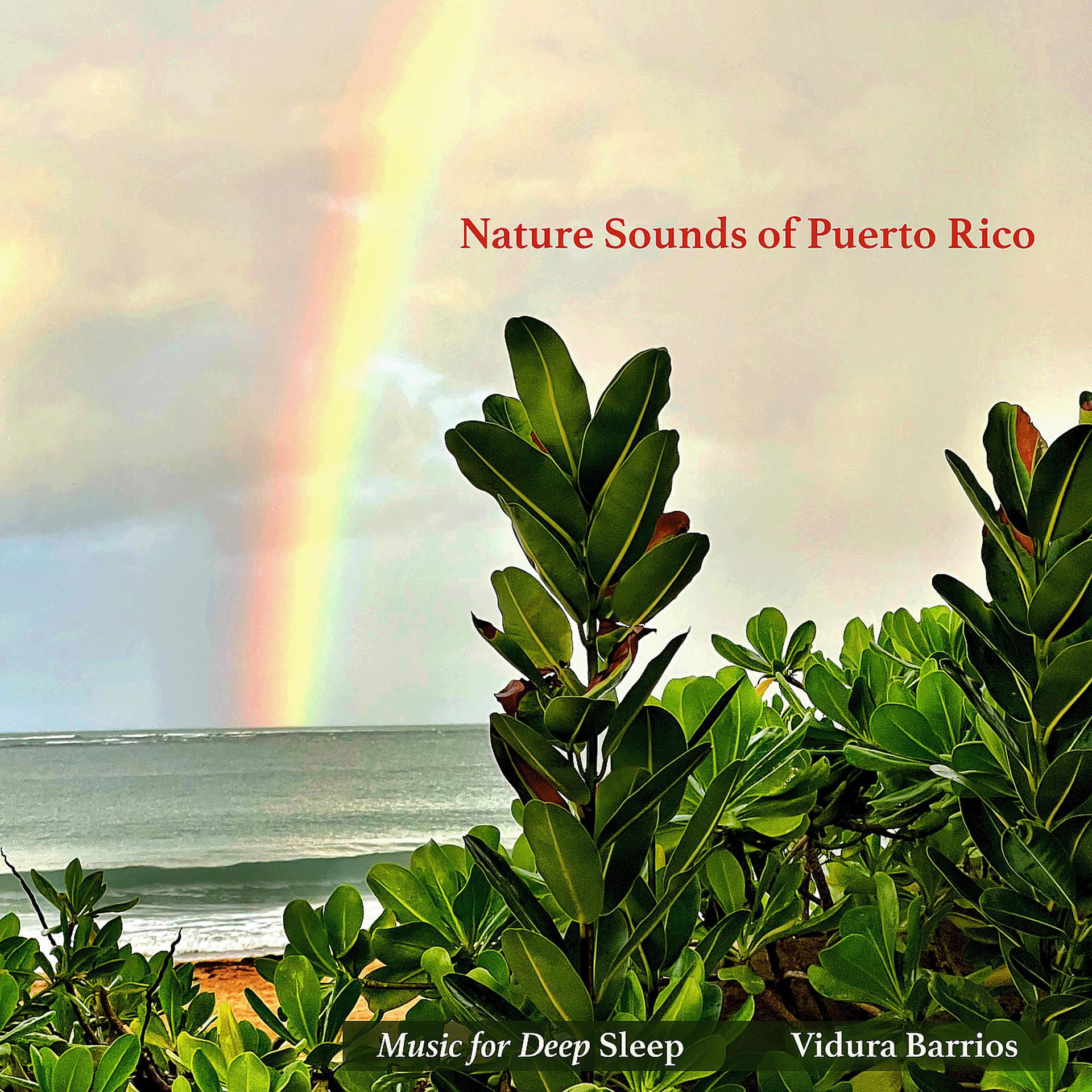 Постер альбома Nature Sounds of Puerto Rico