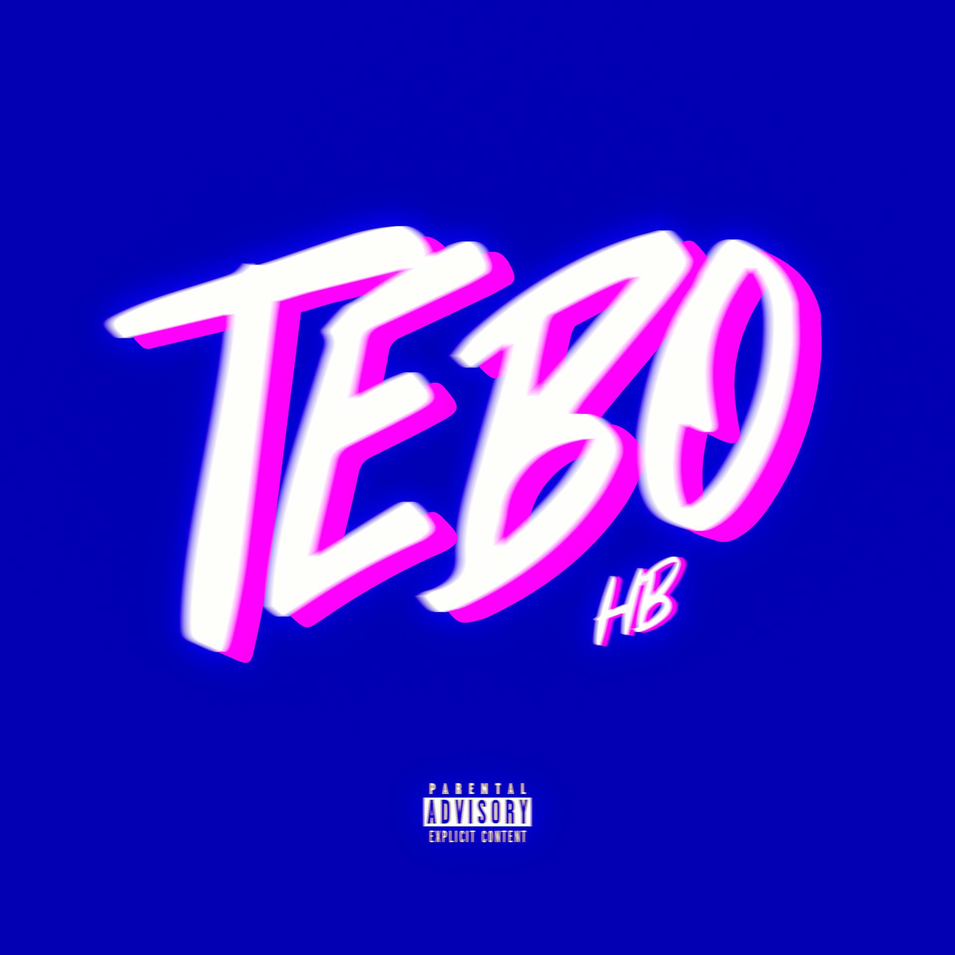 Постер альбома Tebo