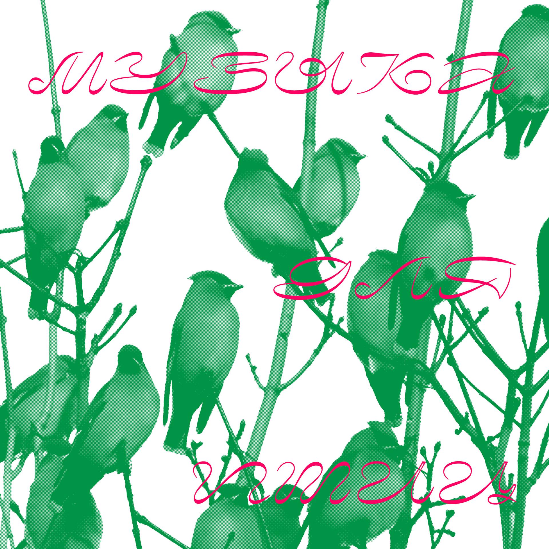 Постер альбома Музыка для птиц