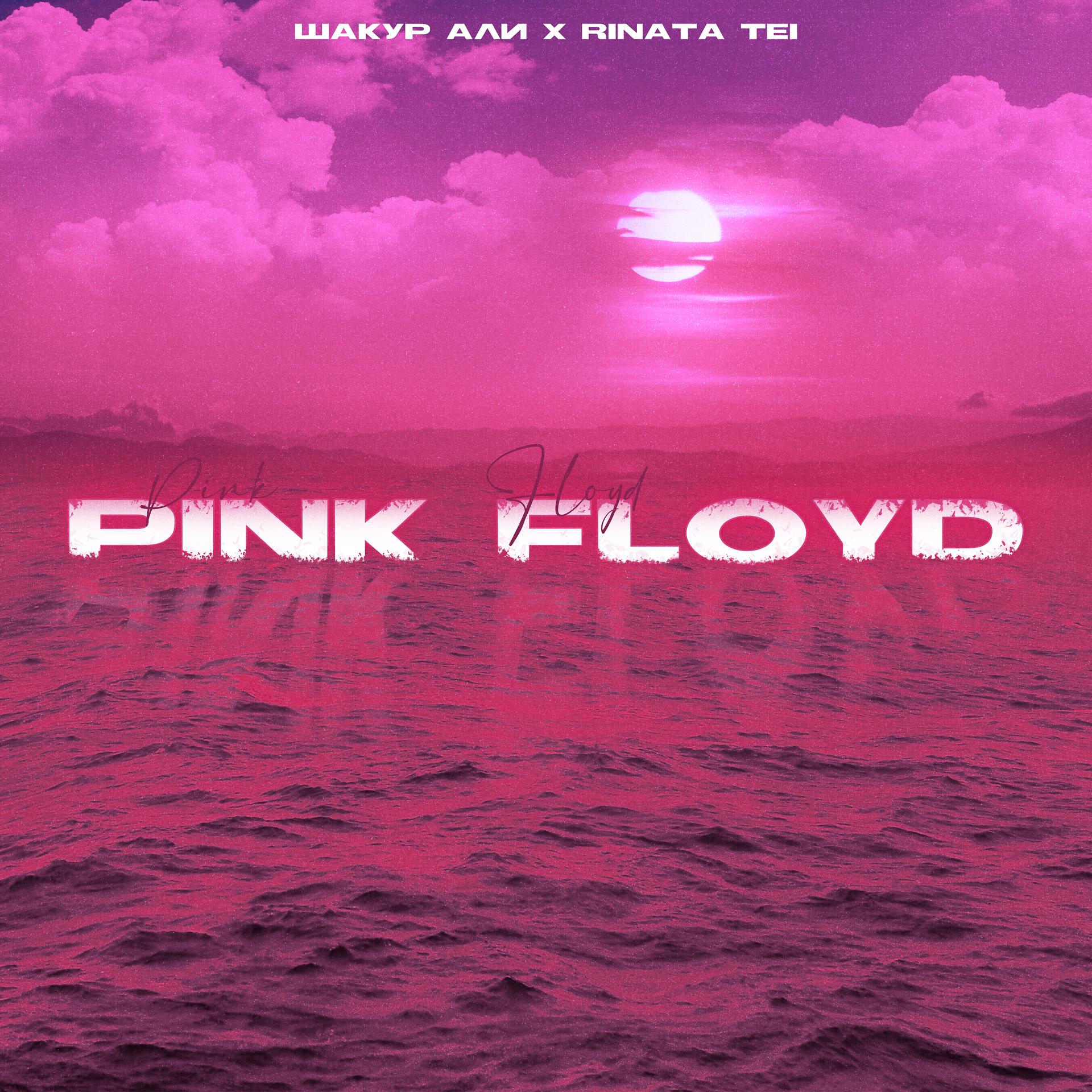 Постер альбома Pink Floyd
