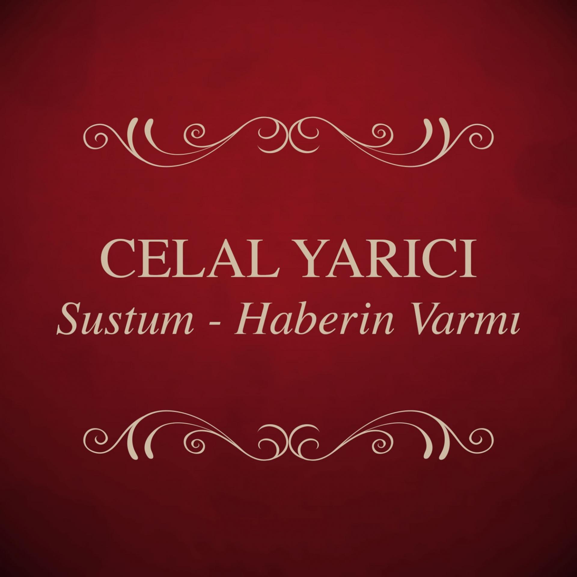 Постер альбома Sustum / Haberin Var Mı