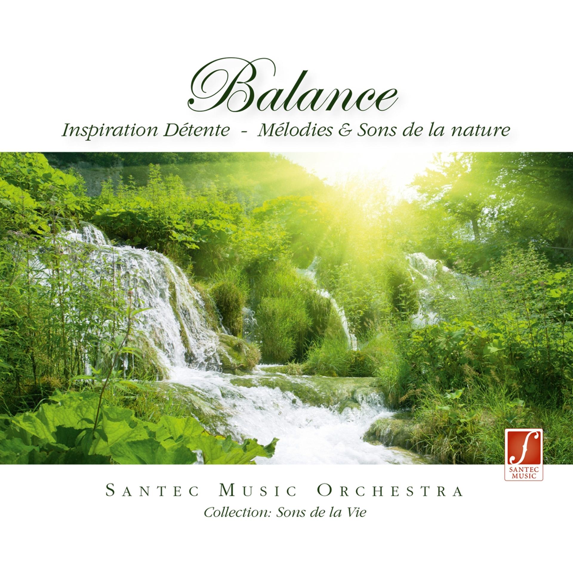 Постер альбома Balance: Relaxation Music