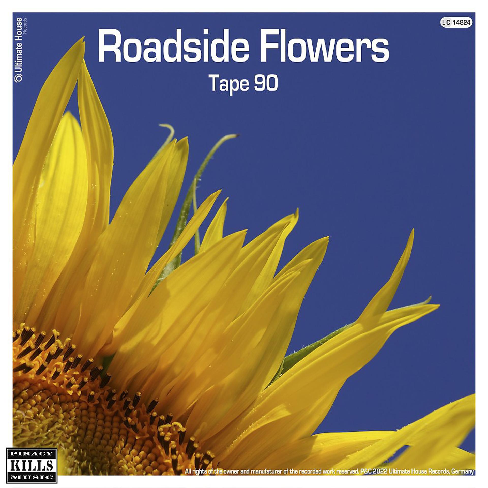 Постер альбома Roadside Flowers